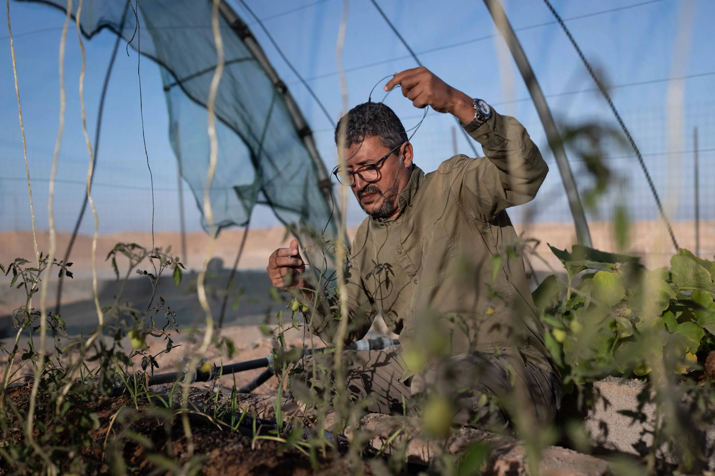 Agronom Taleb Brahim
