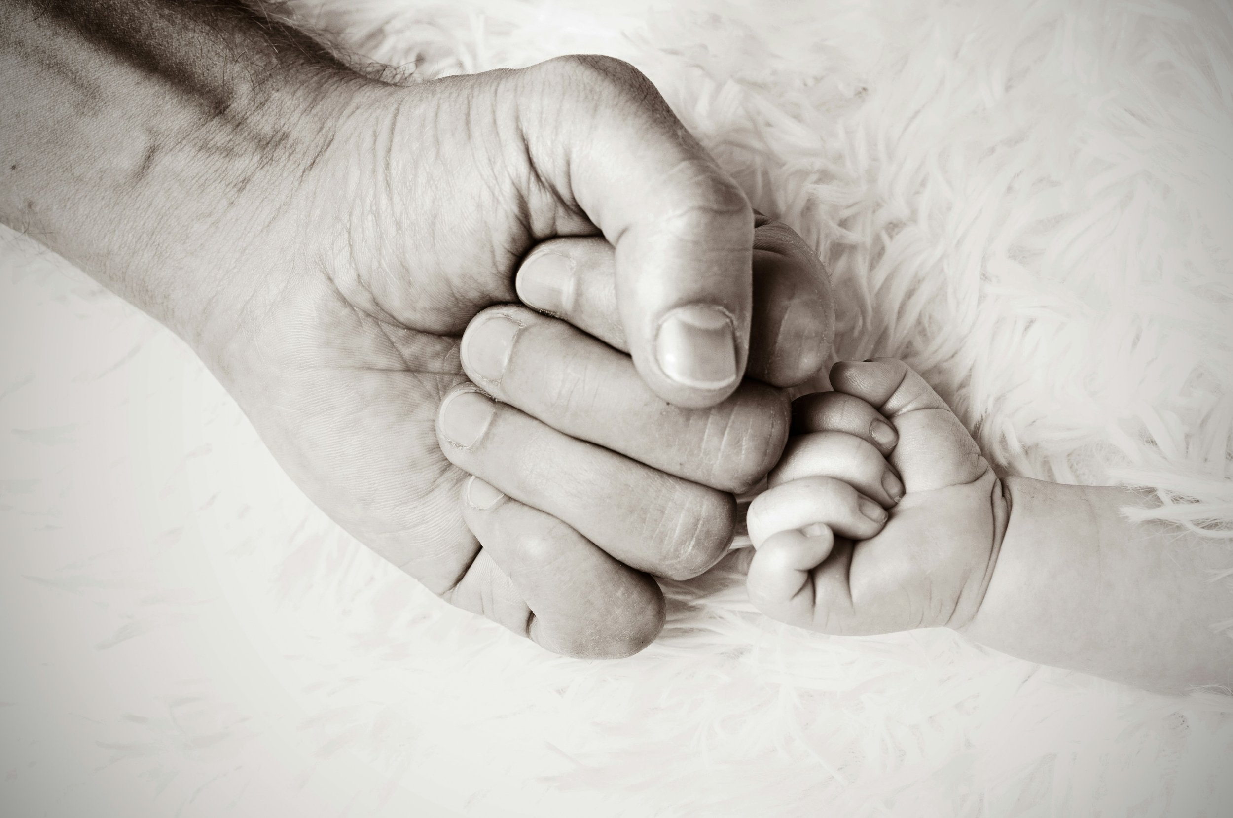 Close-up of an adult hand holding a child's hand.