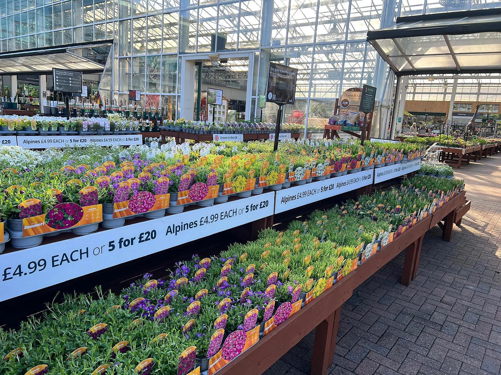 Display of flowering plants and bulbs in a greenhouse at a garden center, with price signs and labels, under a glass roof.