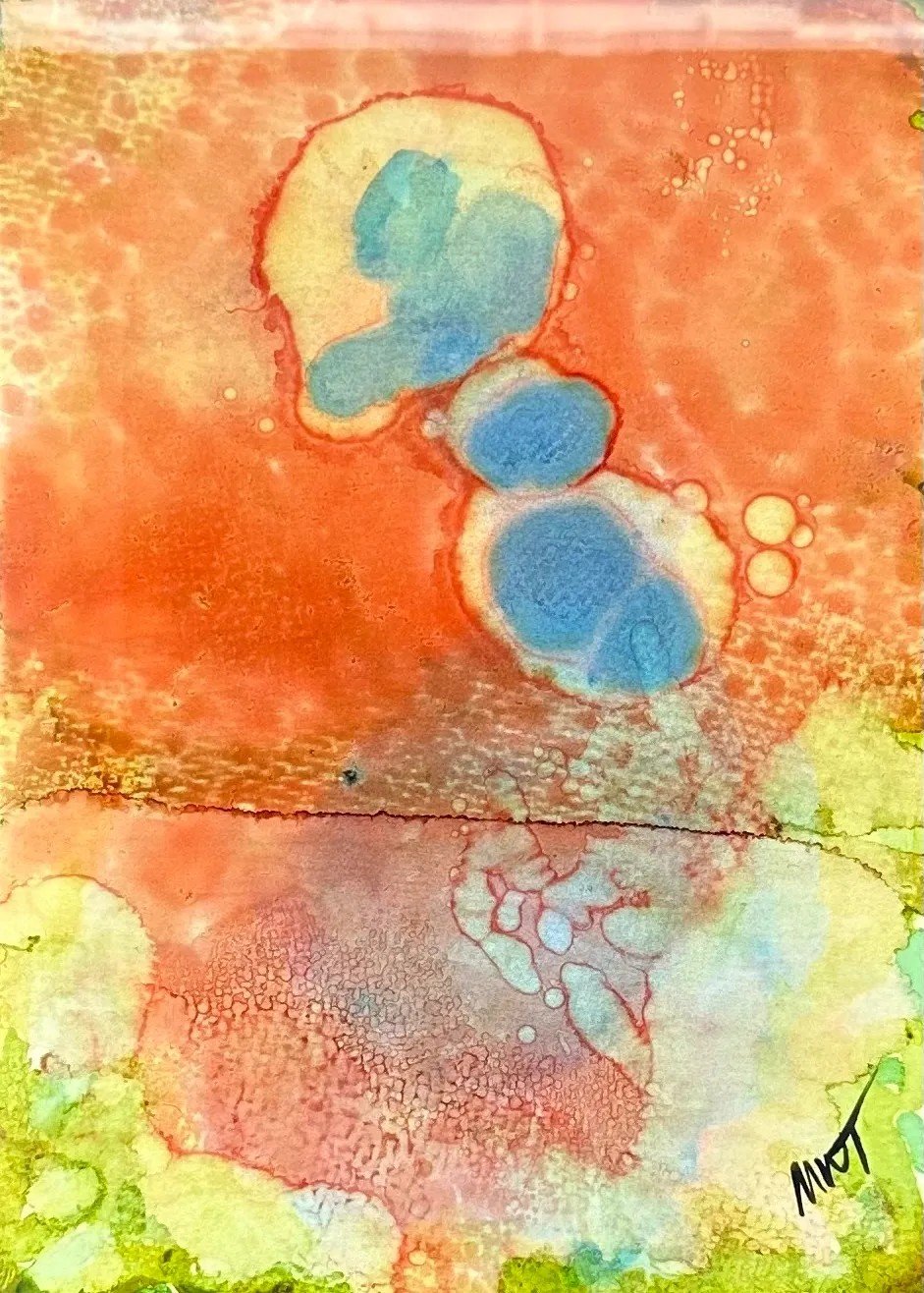 Encapsulation  Ink on Paper
