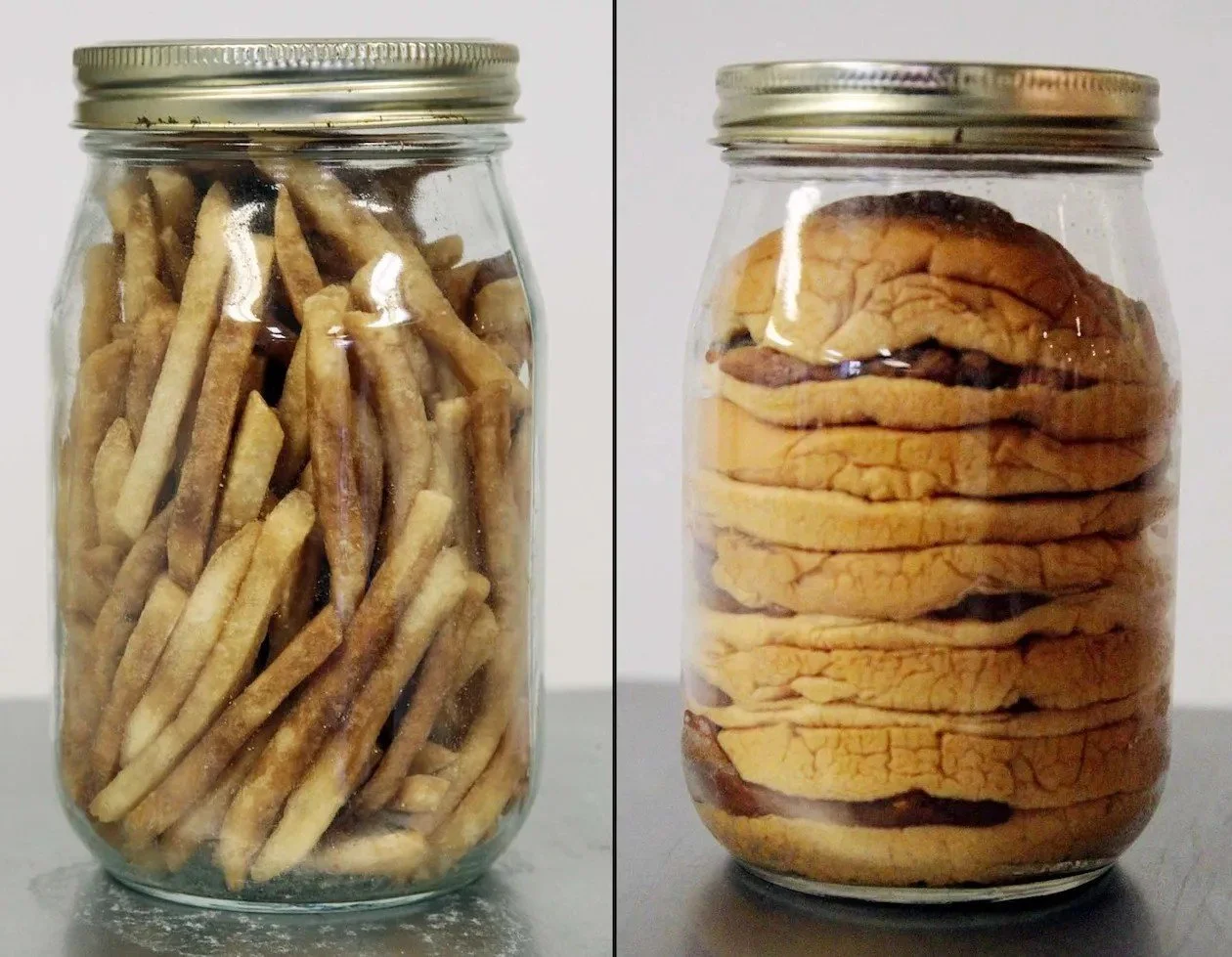 Preserved: McDonalds Cheeseburgers and French Fries  7"x15"x4"  Mixed Media