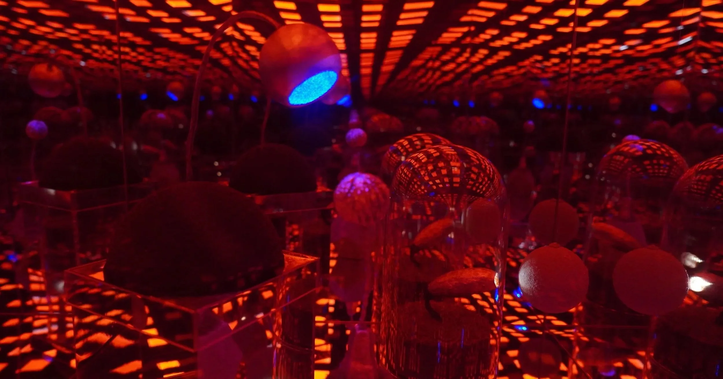 Multiverse  Site Specific Installation and Collaboration with Aaron Thornburg, David Yosha, and Dorothy Henckel. 