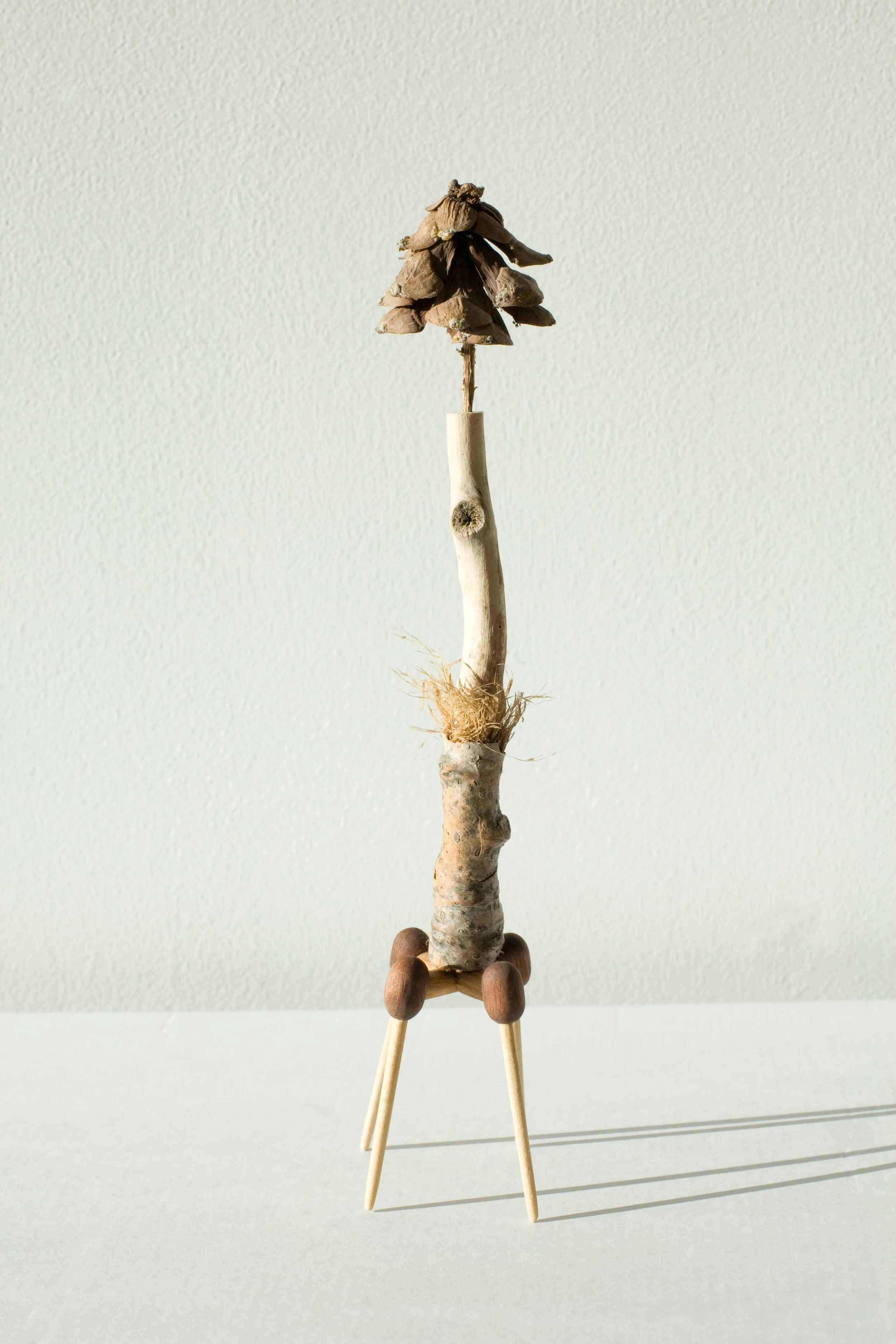 Creature No.2.jpg