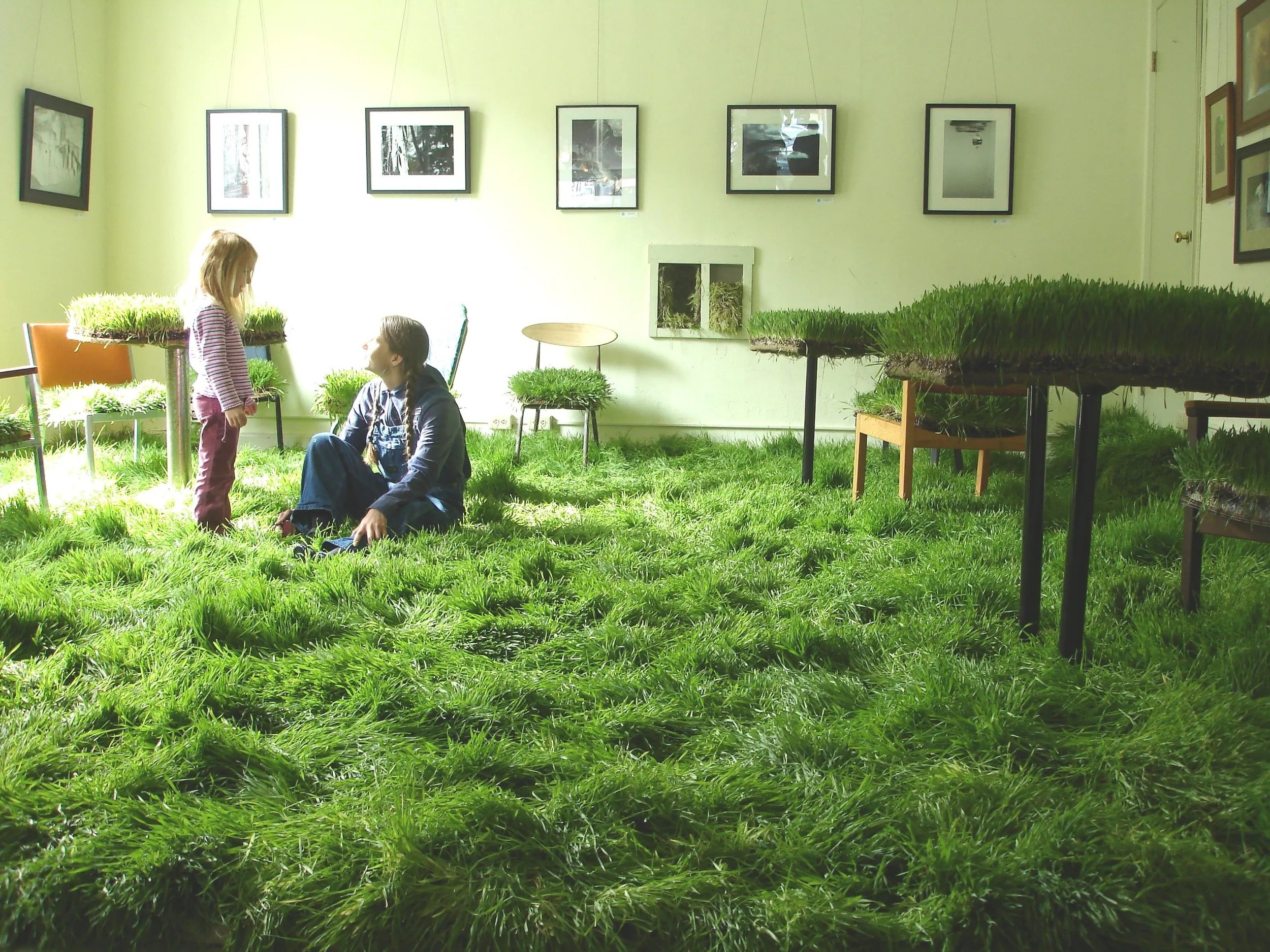 Grassology: The Study of the Effects of Grass  Site Specific Installation Collaboration with Ana Torres