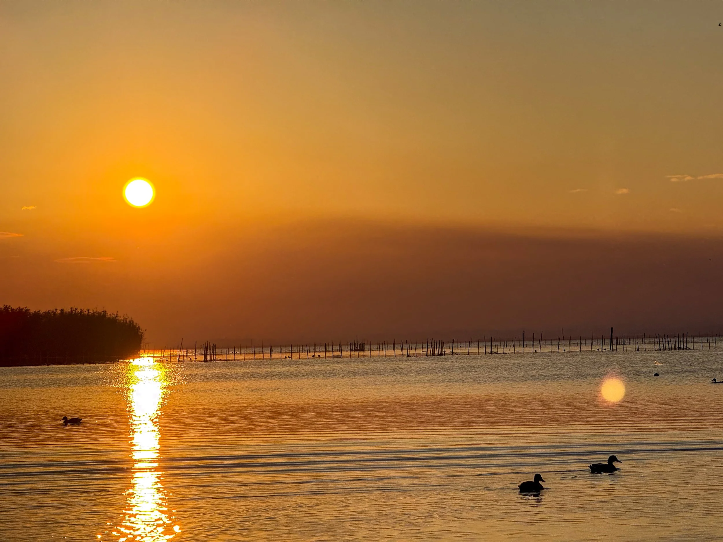 Albufera de Valencia (Lagoon of Valencia)