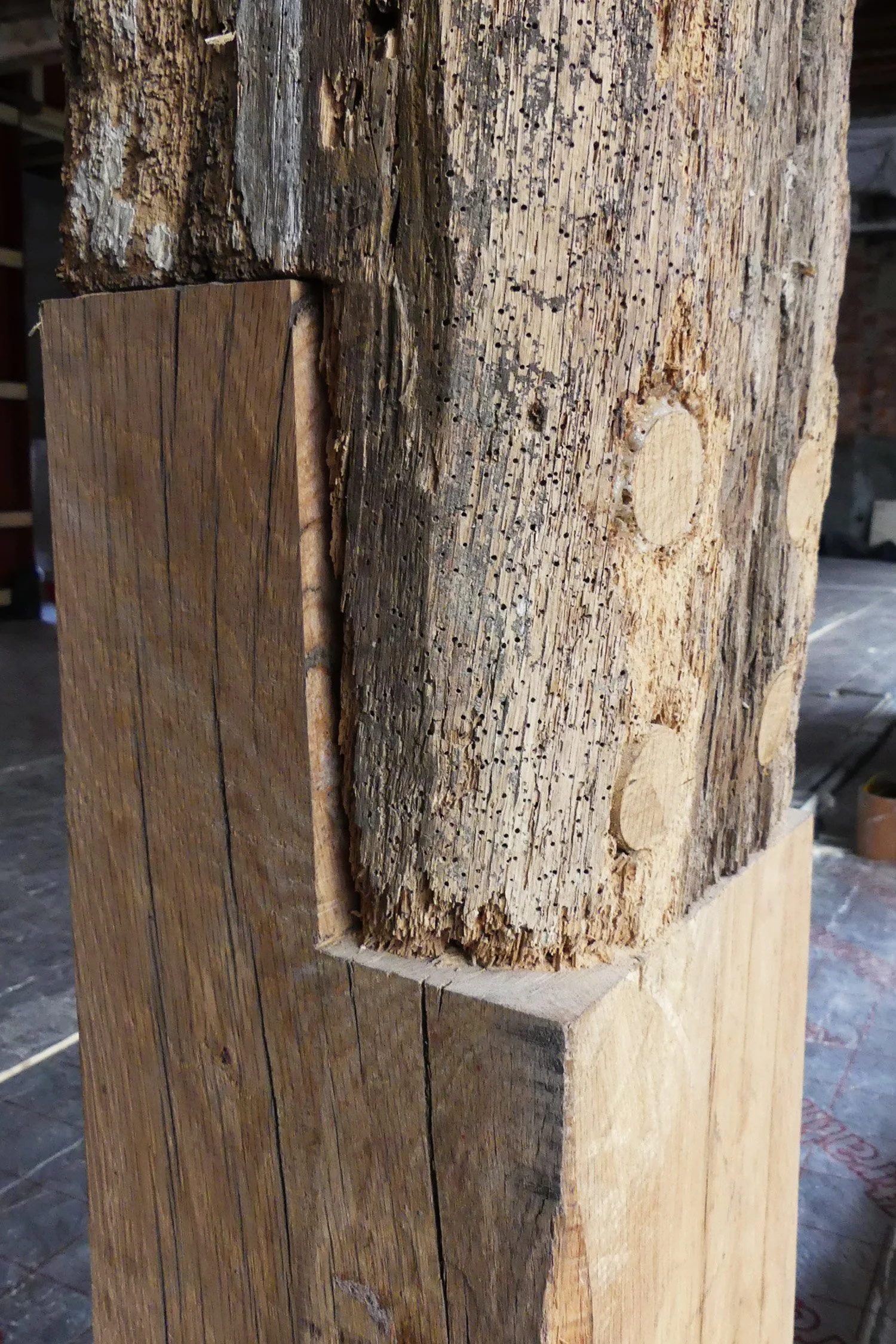 Oak repairs have given the old house new life