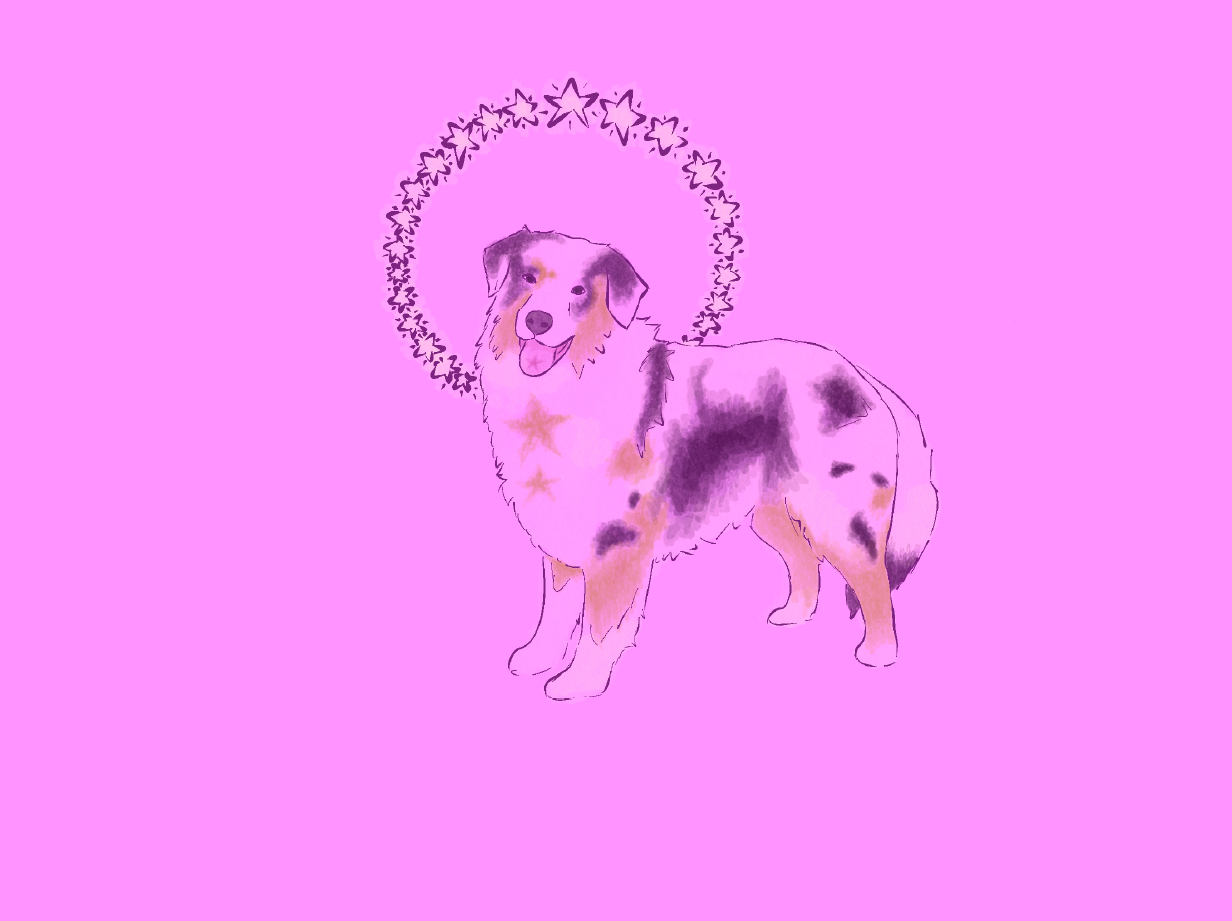 Dogs and more 3 (2025). 2732 x 2048px, Procreate