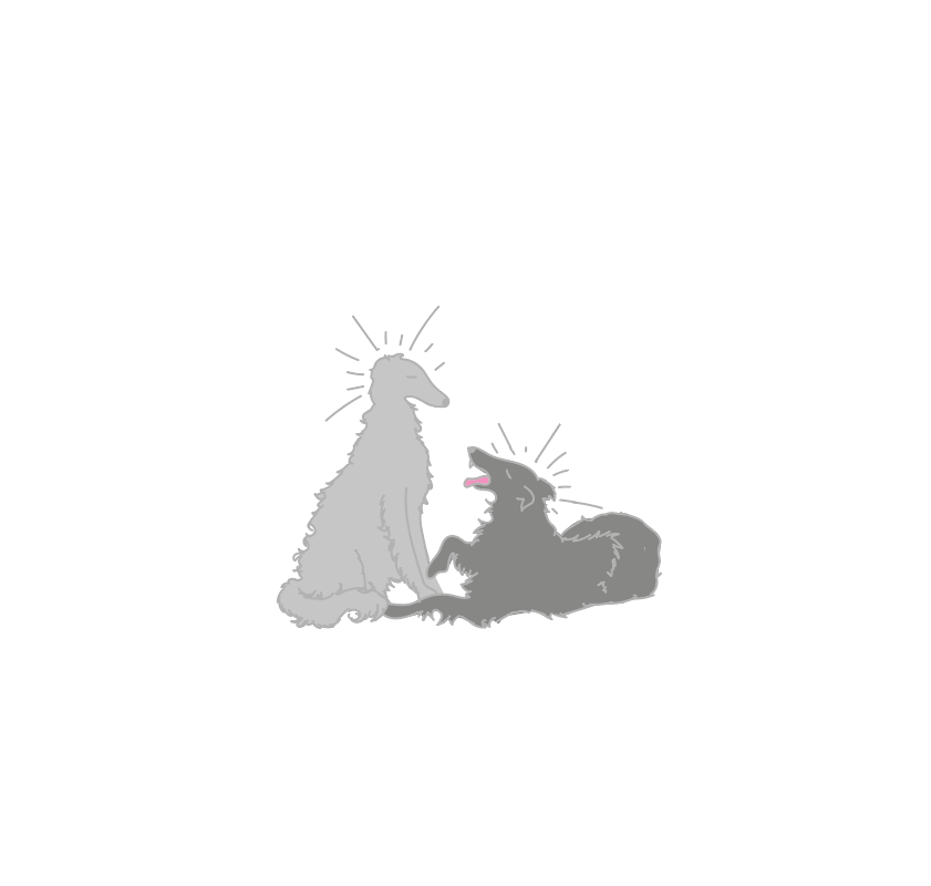 Little borzoi (2026). 8 x 11 In, Adobe Illustrator