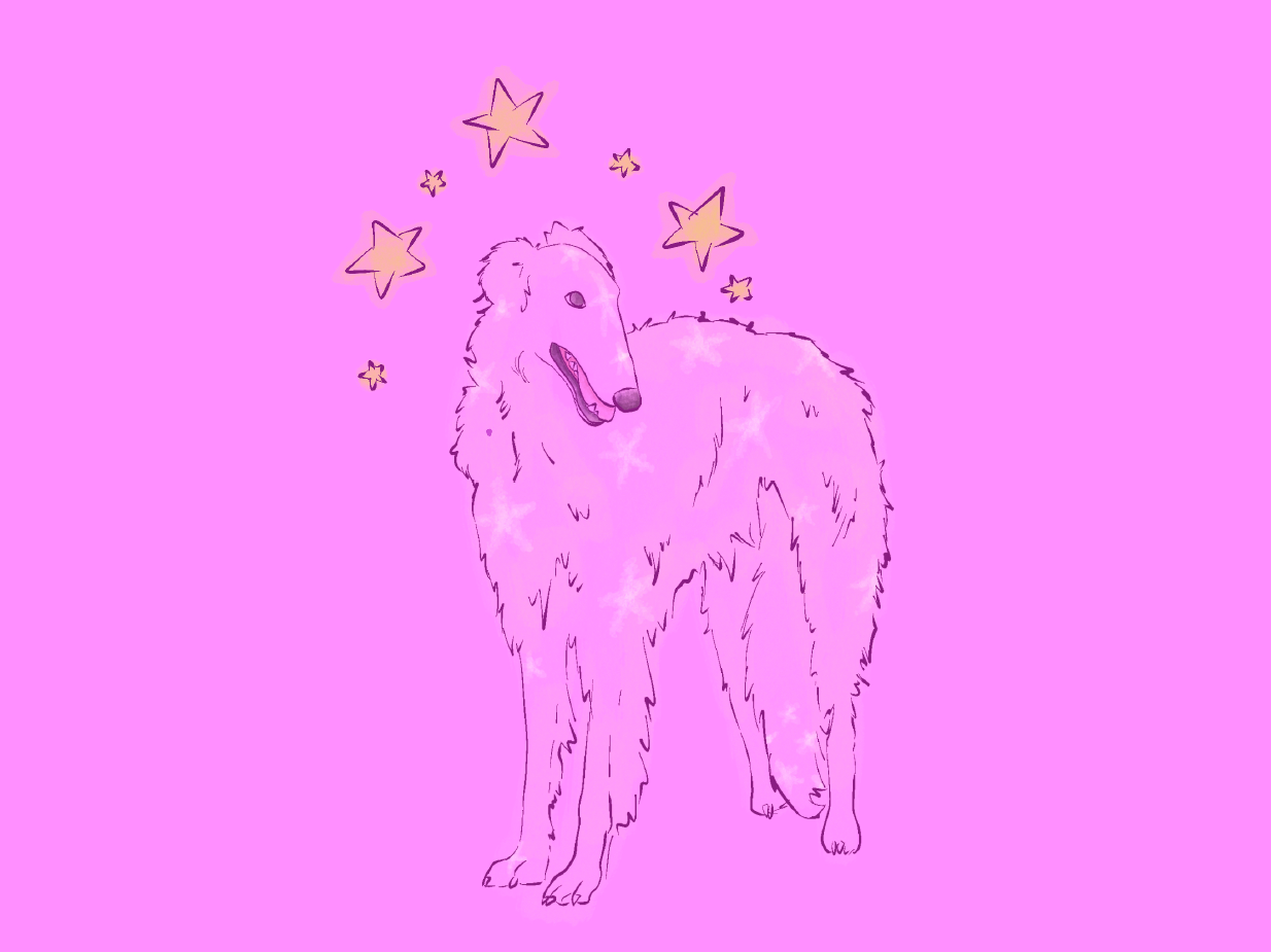 Dogs and more 4 (2025). 2732 x 2048px, Procreate
