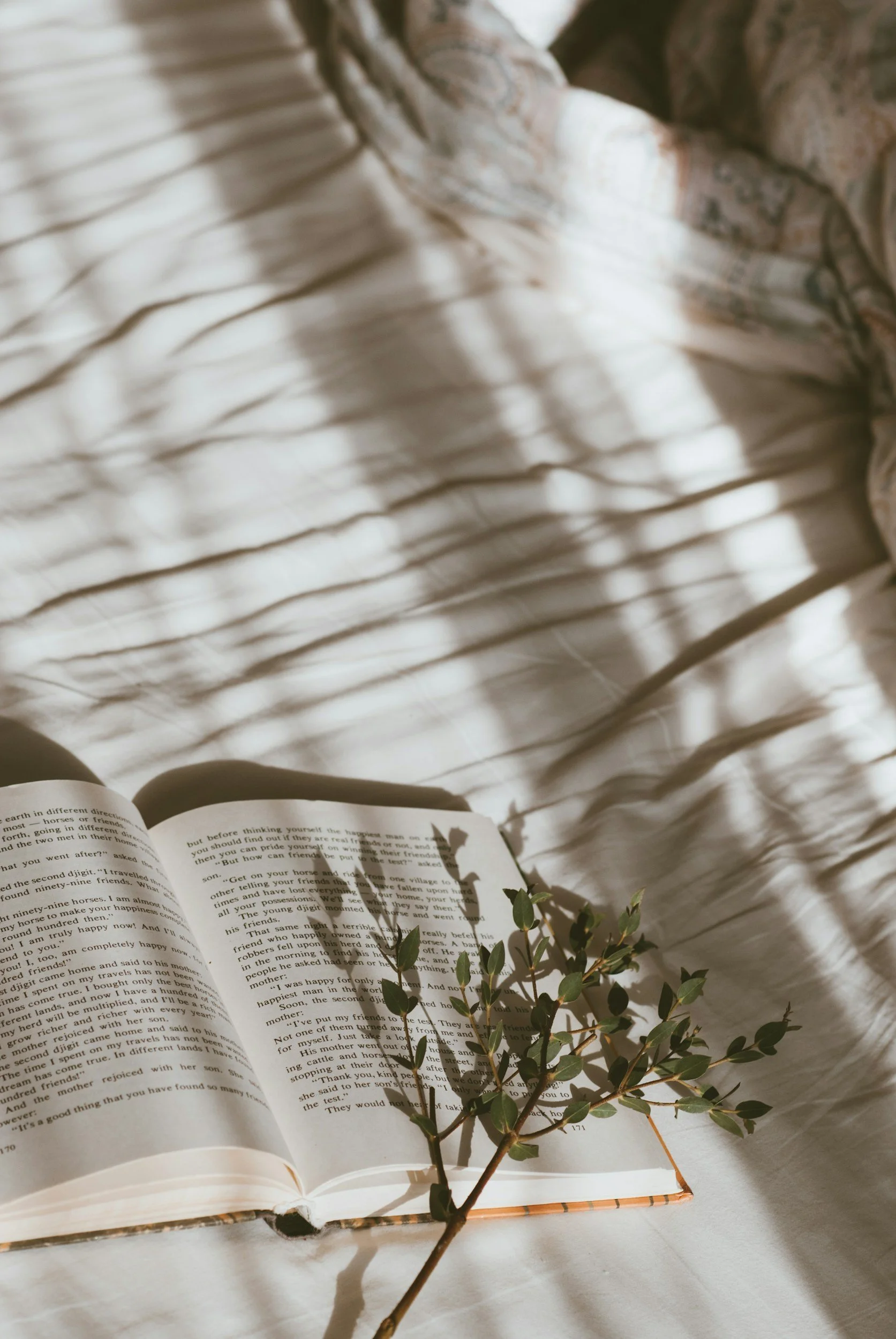 An open book with text on its pages, a small green plant, and soft natural light casting shadows, laid out on a white surface.