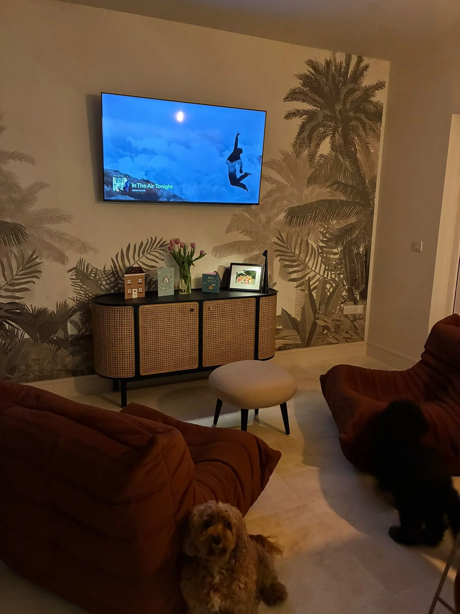 Living room with a mounted TV showing an escape scene, a black sideboard with framed photos, a vase of pink tulips, a small house-shaped decoration, and plants on the wall. Two sofas and a dog are in the room.