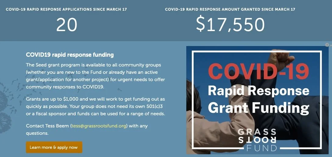 rapid response covid graphic march 2020.jpeg