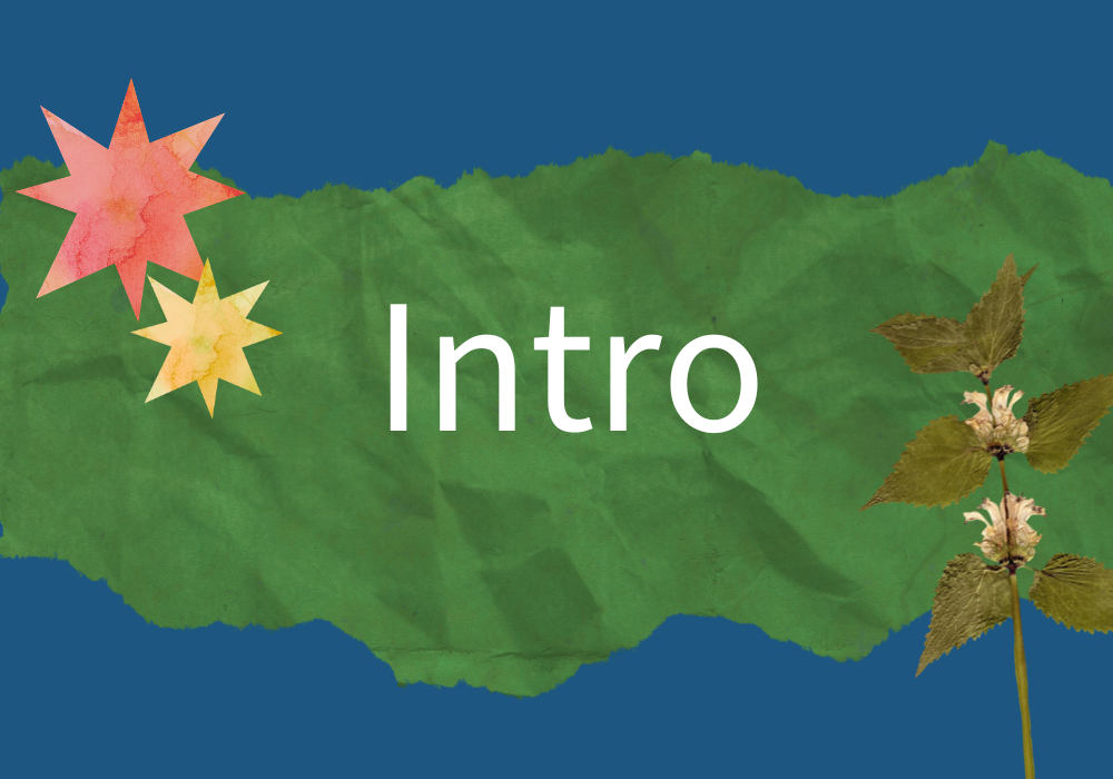 Intro