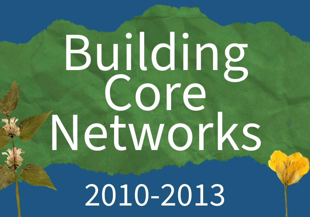 2010–2013: Building Core Networks