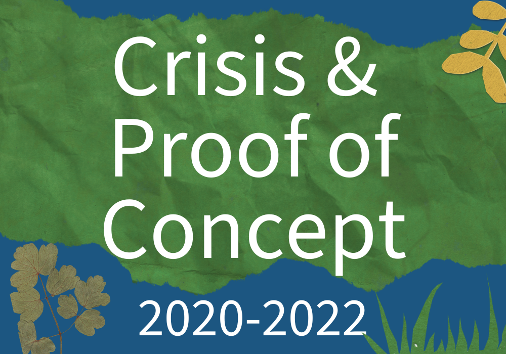 2020–2022: Crisis response and structural innovation