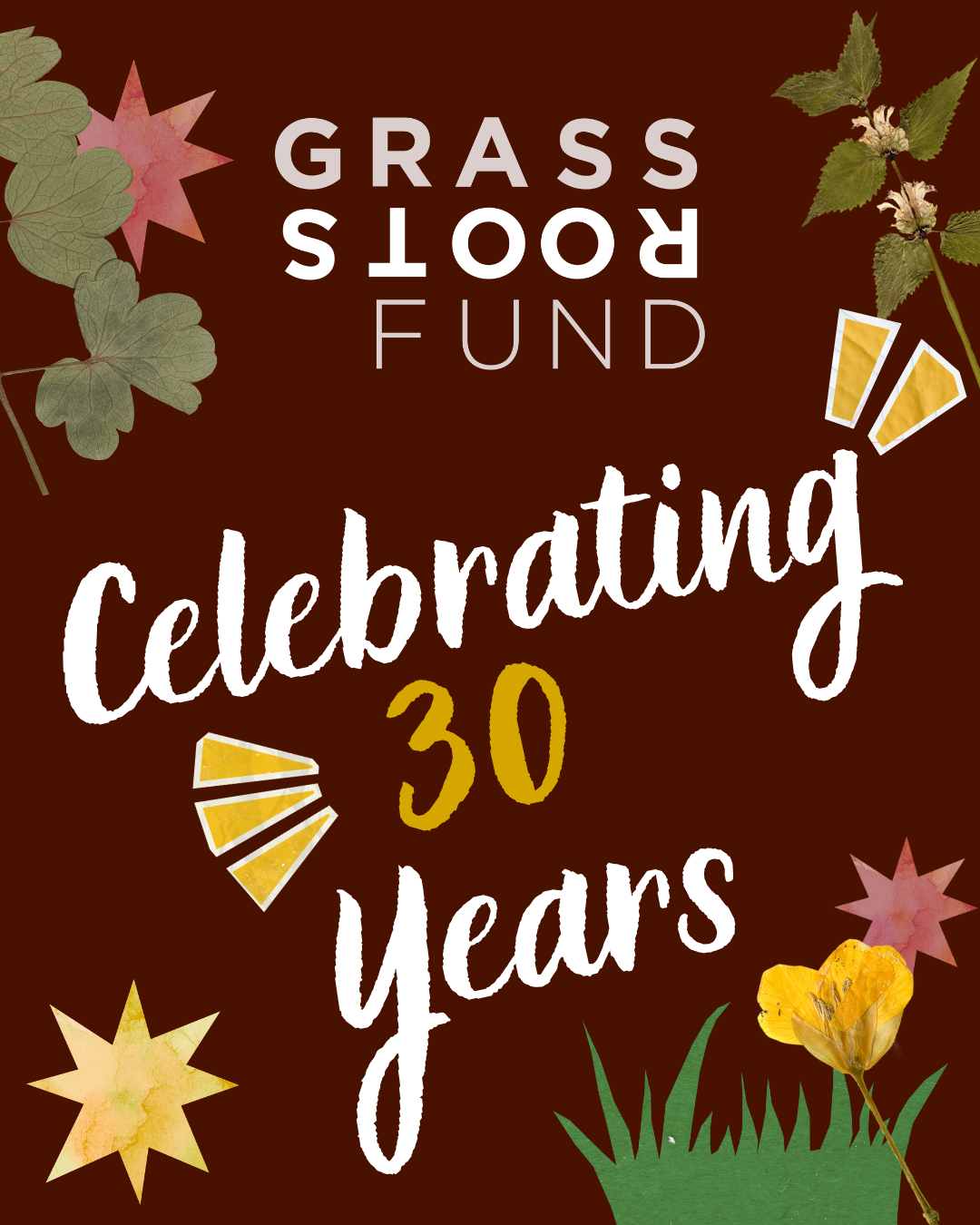 Celebrating 30 years of the Grassroots Fund with autumn-themed leaves, flowers, and decorative elements on a dark background.
