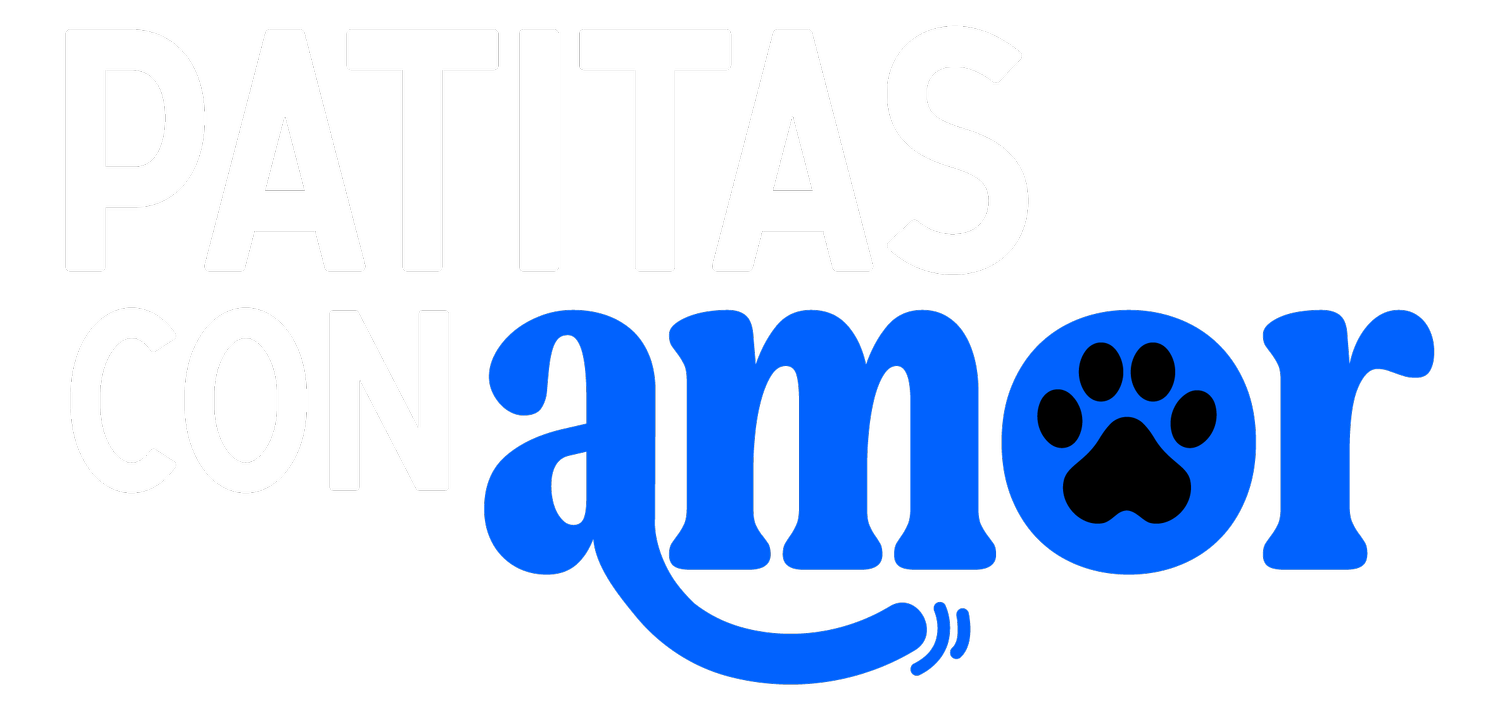 Your Site Title