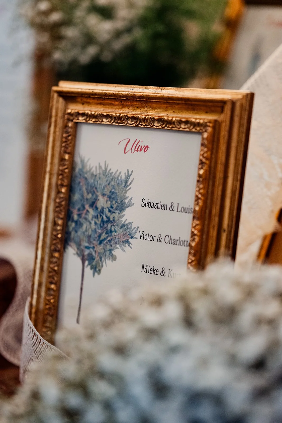 MountainweddingphotographyalpsB2Photography -063.jpg