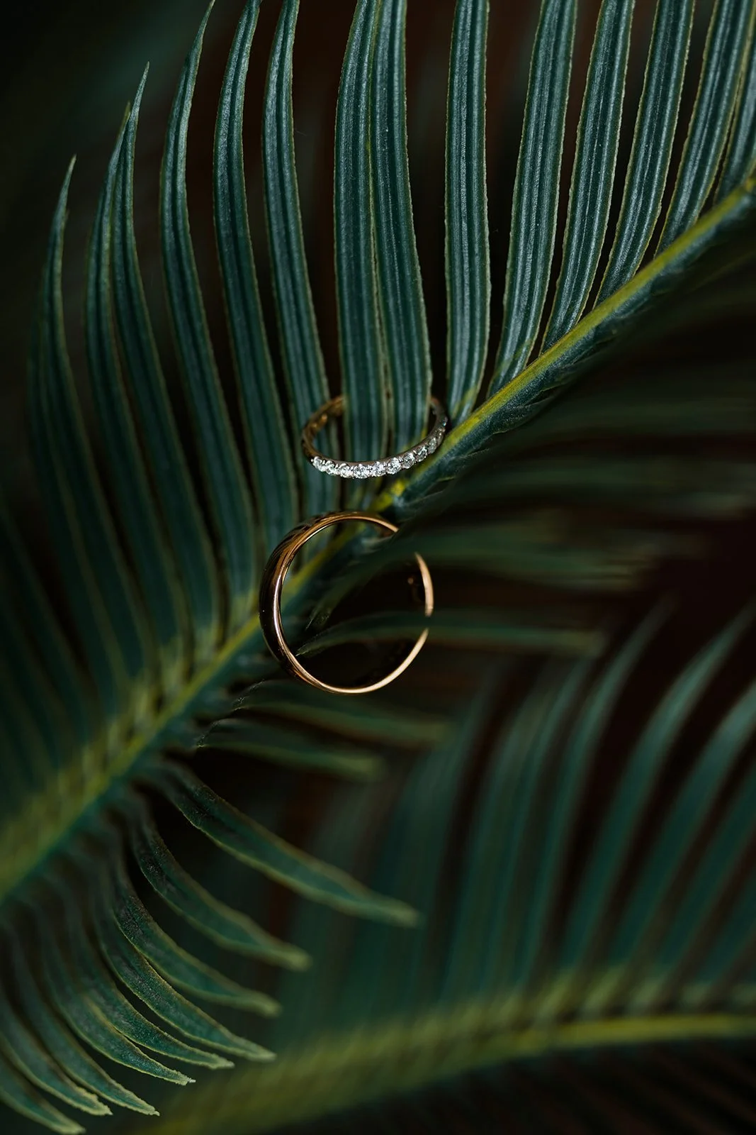 Wedding Photography - B2Photography -011.jpg