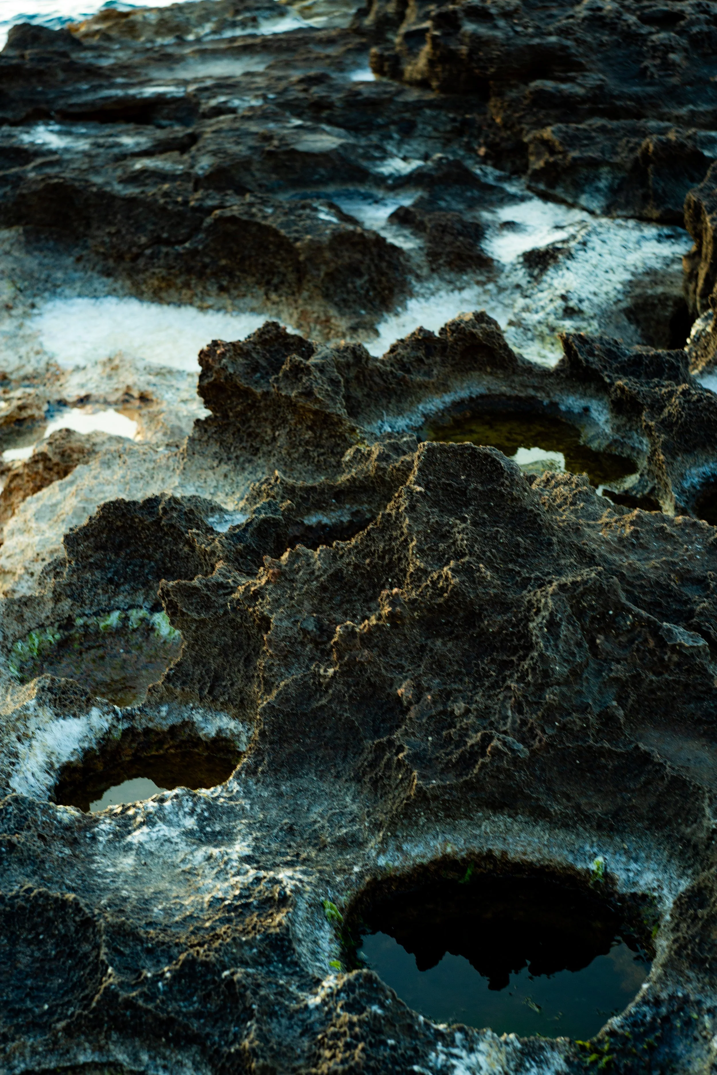Irregular rock formations with small pools of water and minimal vegetation in areas of sandy and rocky surface.