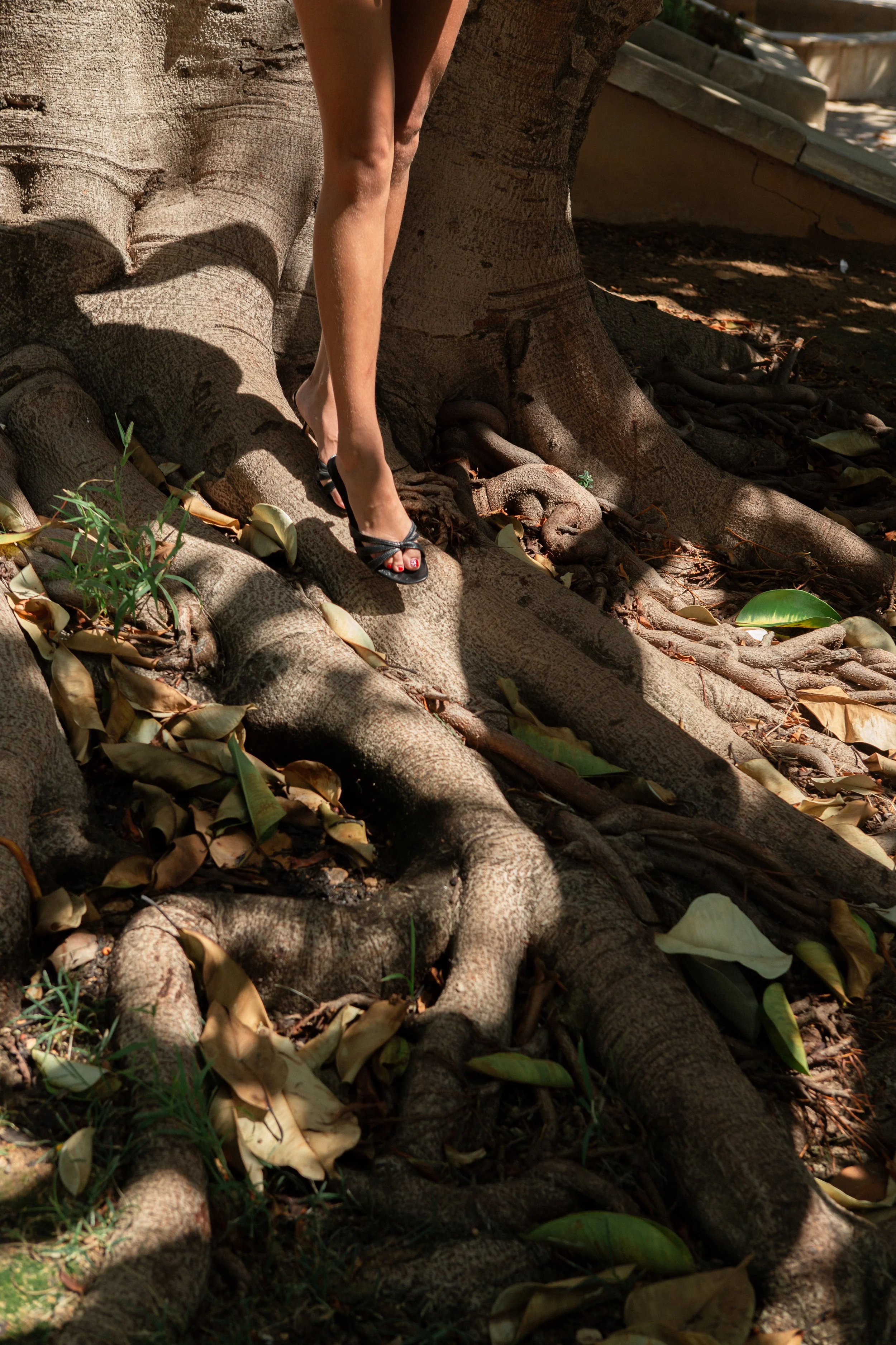 20260817-IMG_4721.jpg