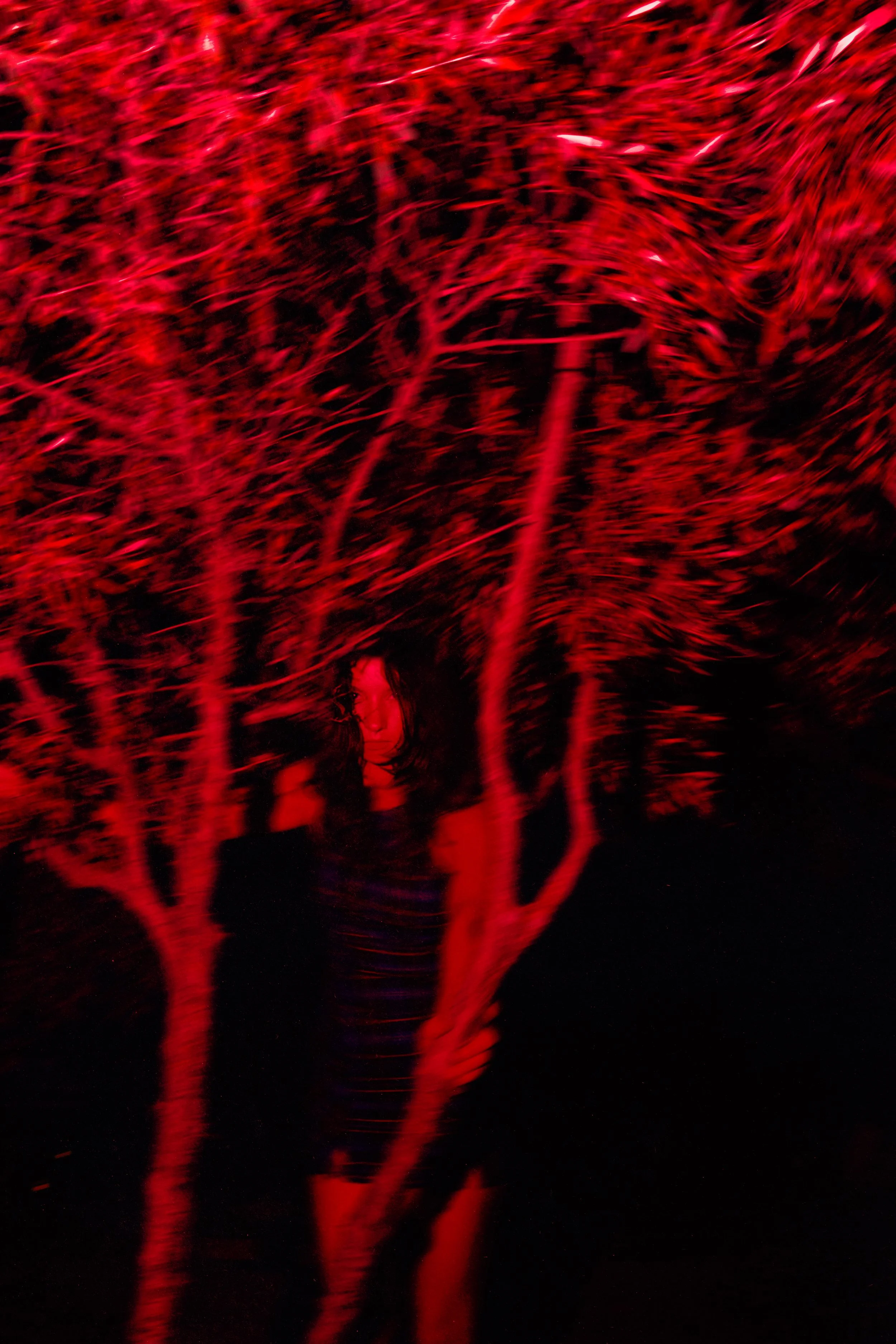 Red Tree.jpg