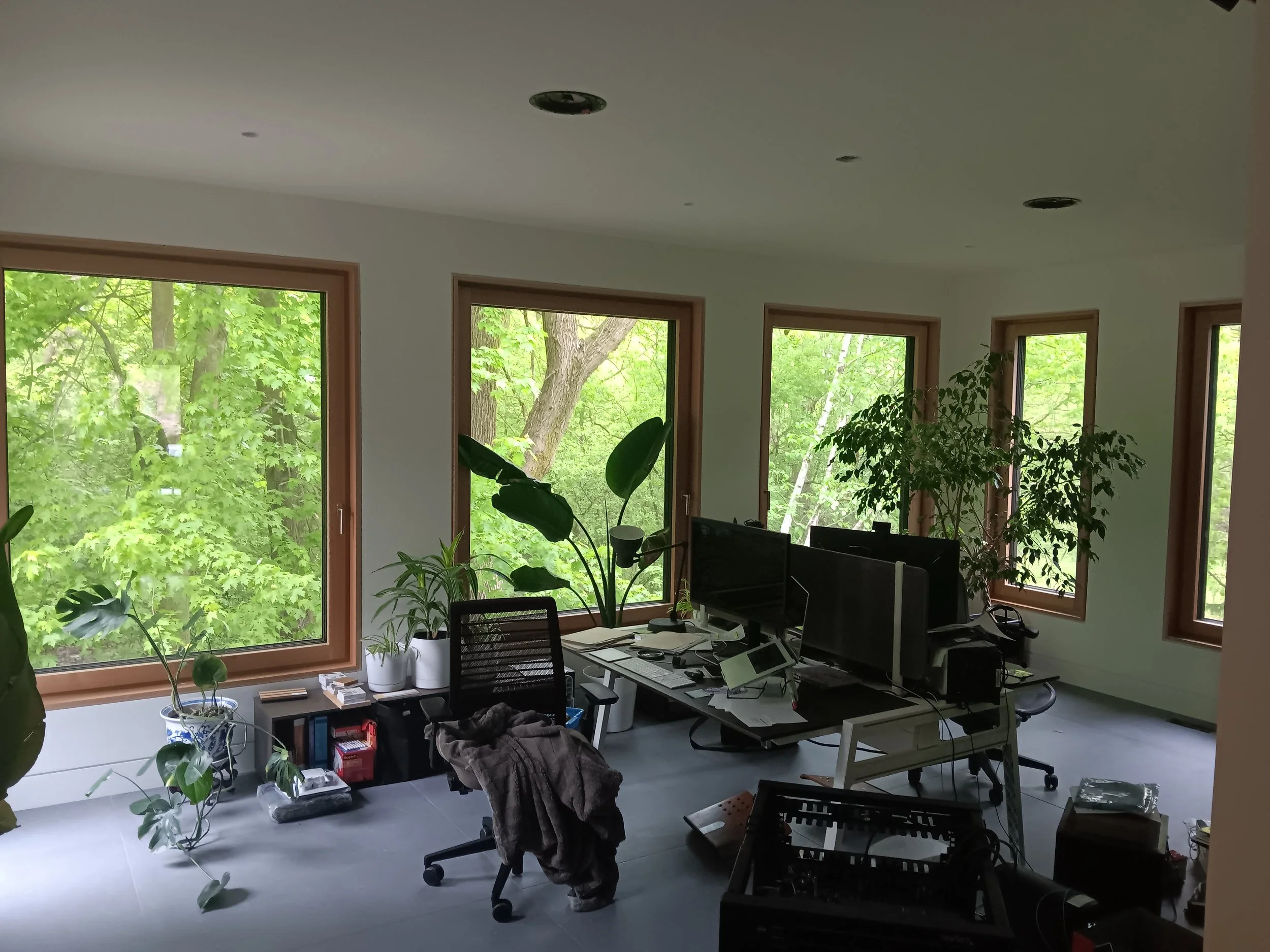 20250524_075436.jpg