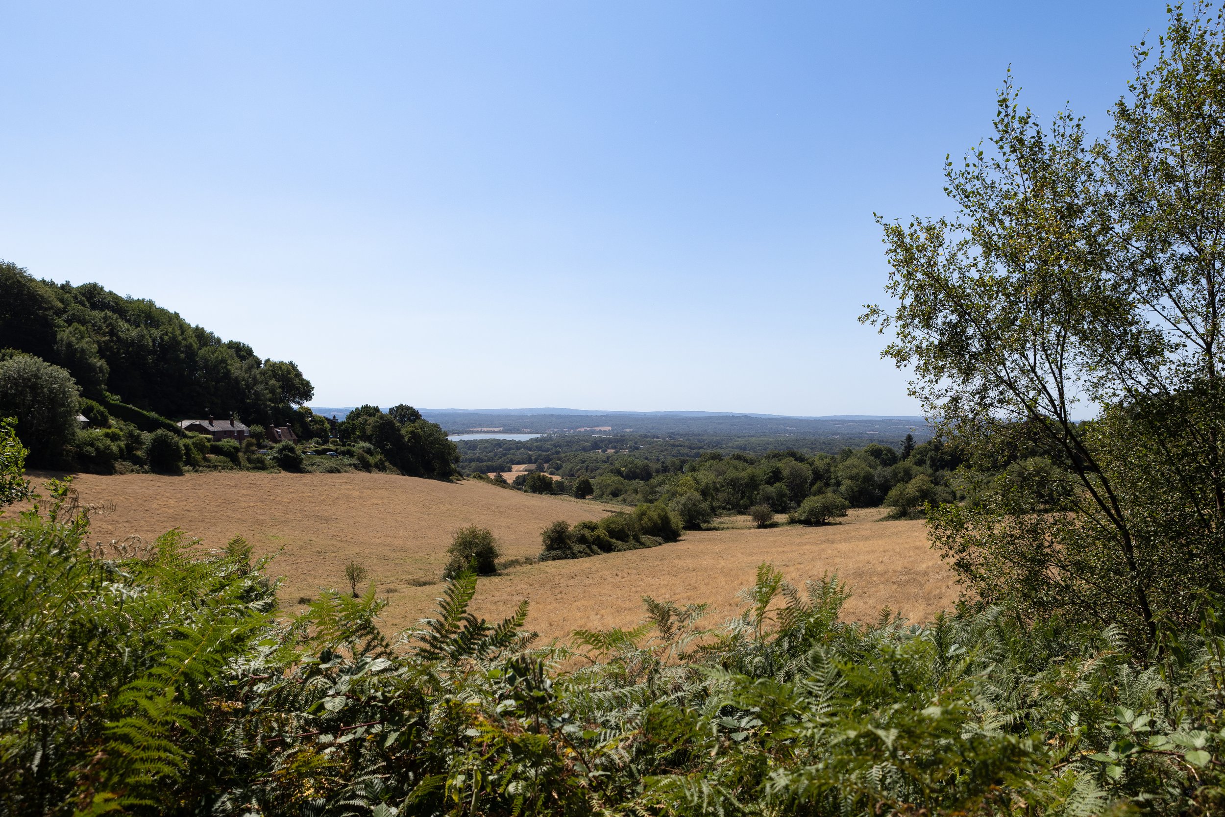 R6KG7438.jpg