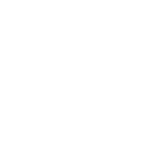 Wolfvision.png