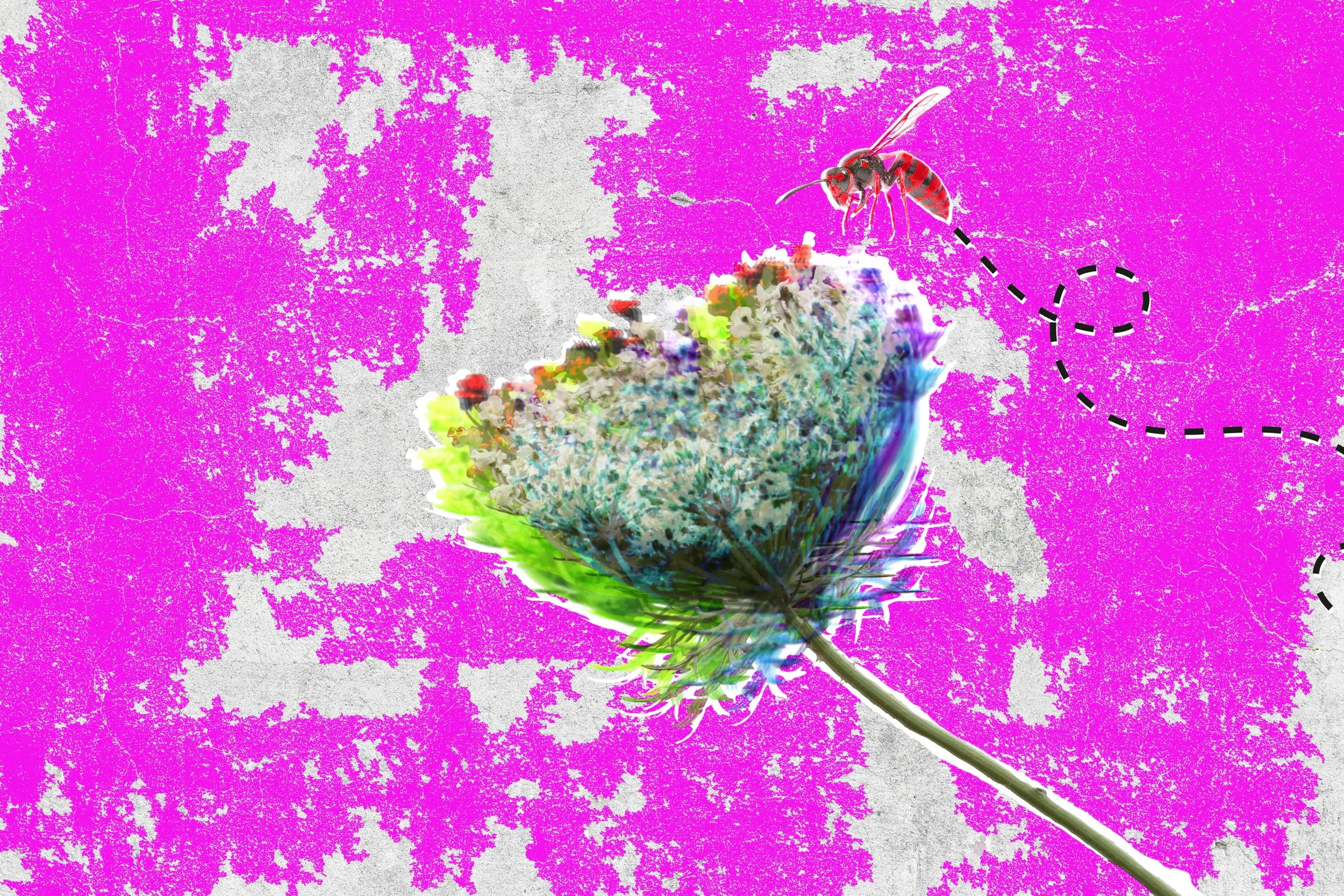 Flower.jpg
