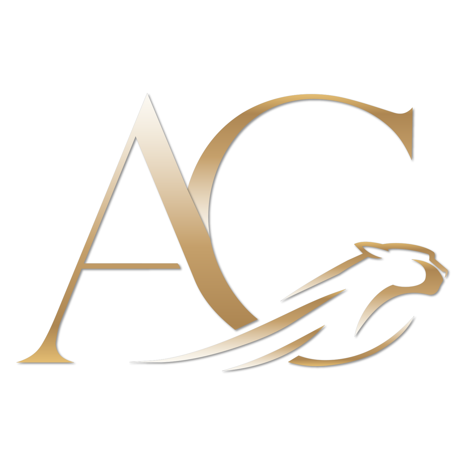AC Media &amp; Marketing