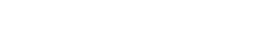 Turner Strategic