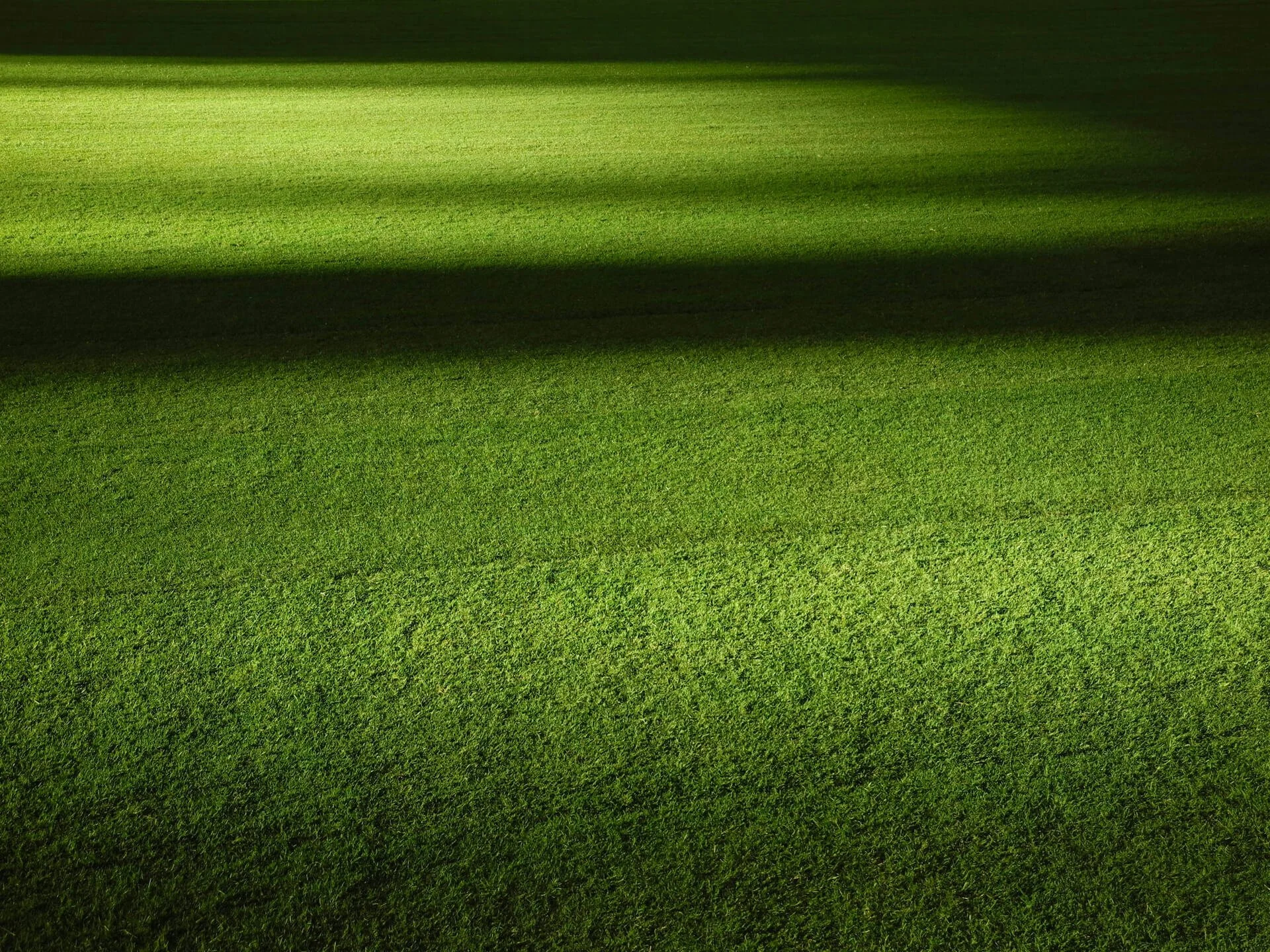 A lush, green, well-manicured grass field with shadows cast across it.