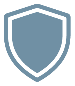An icon of a shield with a blue outline and solid blue fill.