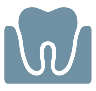 Outlined illustration of a tooth with toothbrush.