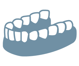 A dental model showing upper and lower sets of teeth.