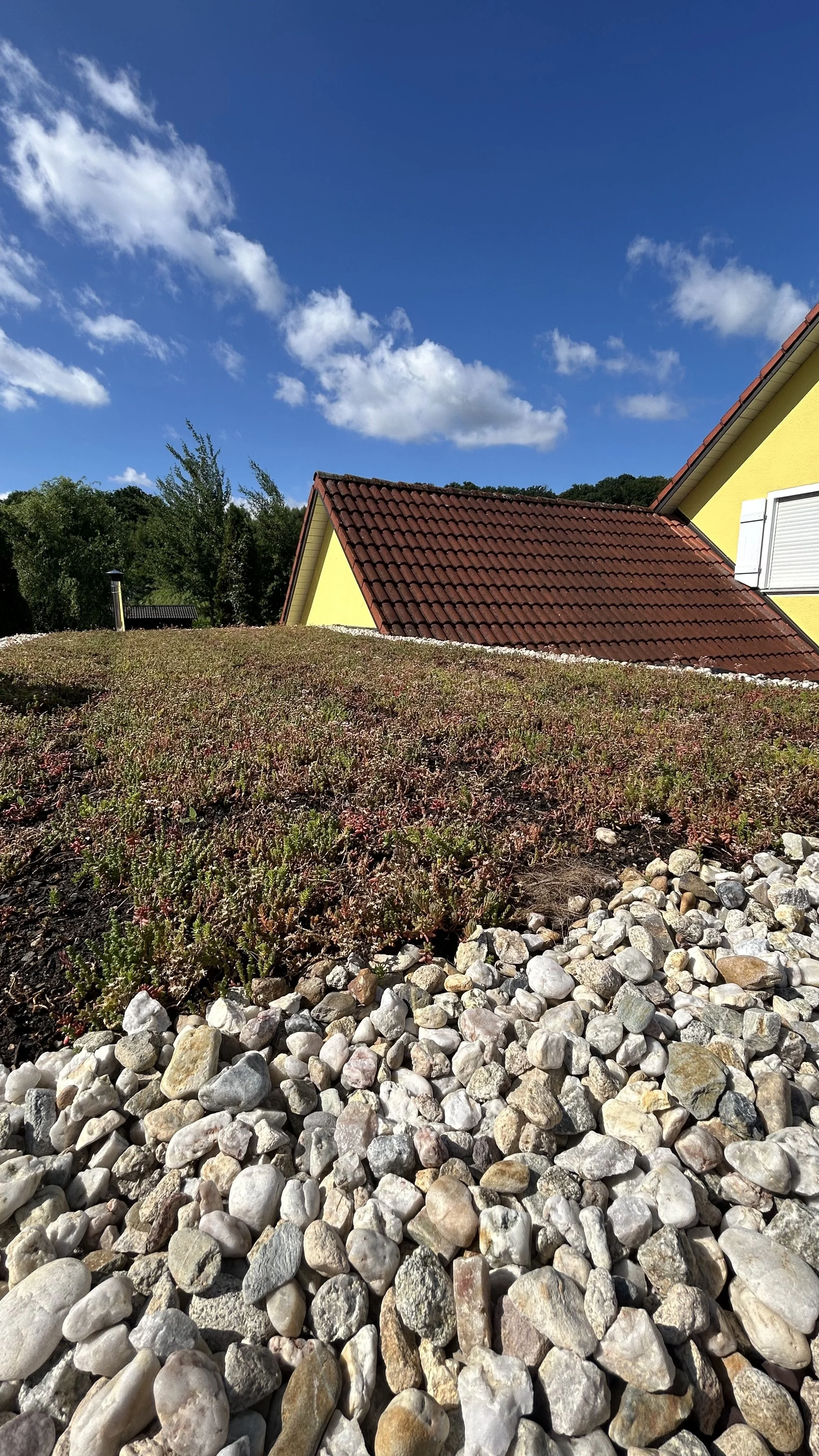 Ein Blick auf den Himmel mit wenigen Wolken, das Dach eines gelben Hauses mit roten Ziegeln und eine bepflanzte Fläche mit kleinen Steinen im Vordergrund.