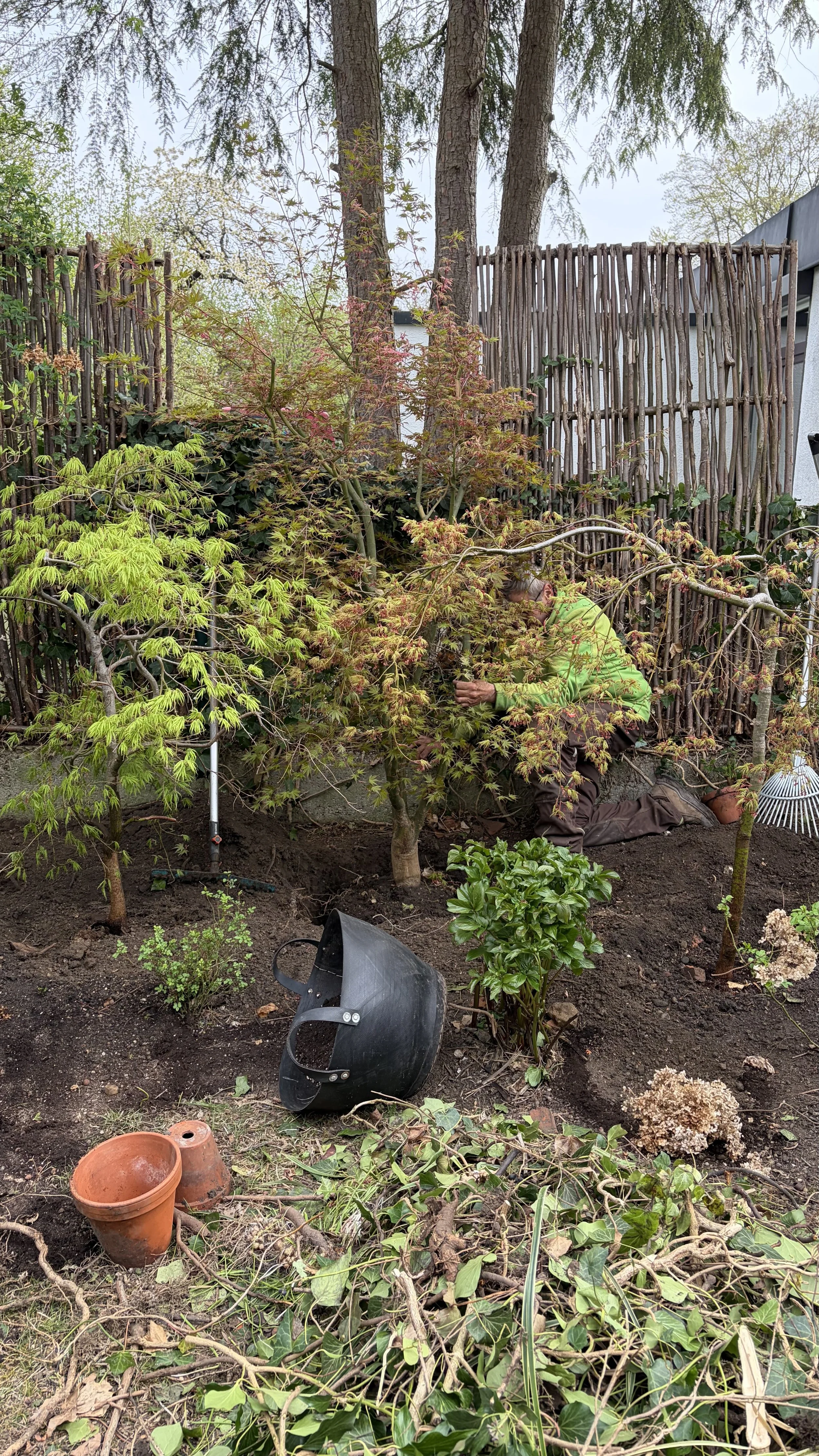 Ein Gärtner arbeitet in einem Garten, umgeben von Bäumen, Sträuchern und Gartenwerkzeugen, darunter ein schwarzer Garteneimer, Blumentöpfe und Schnittgut.