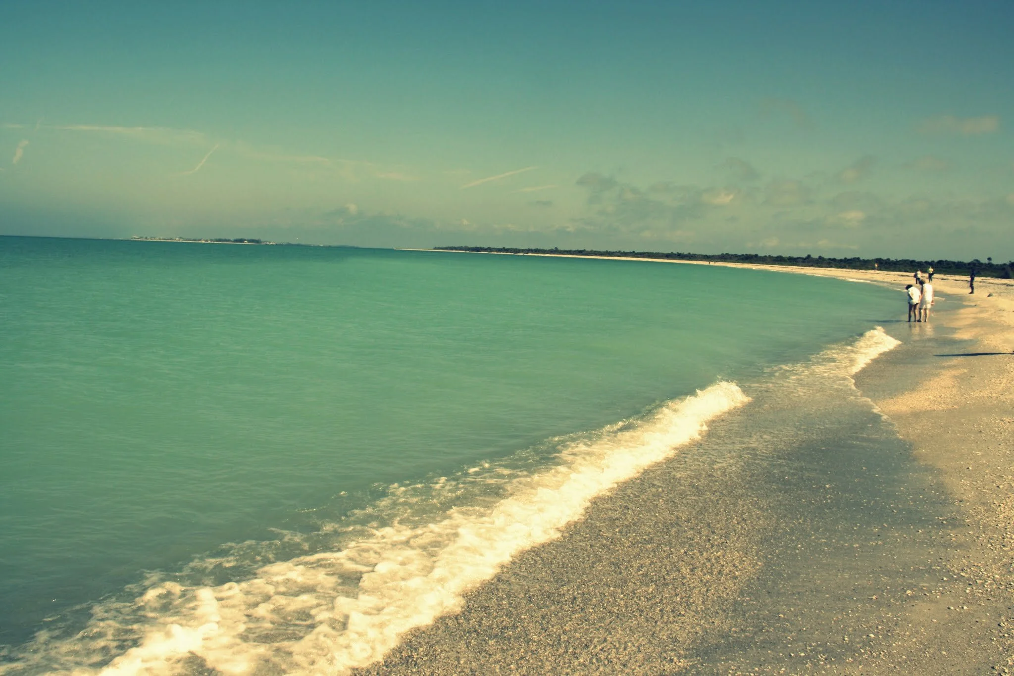 Southwest Florida 2012