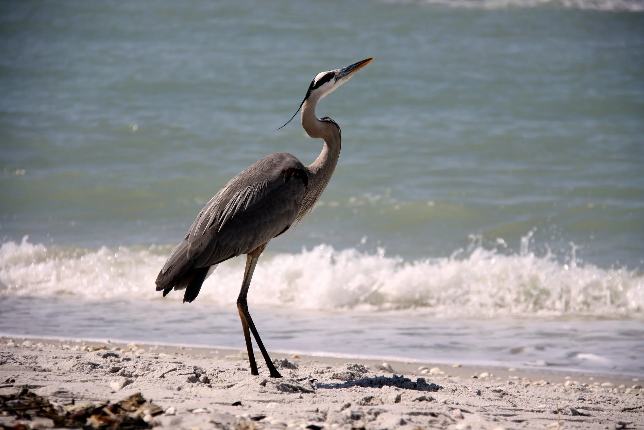 IMG_2740.JPG