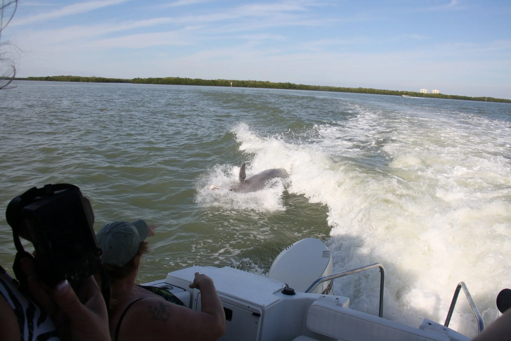 IMG_2700.JPG