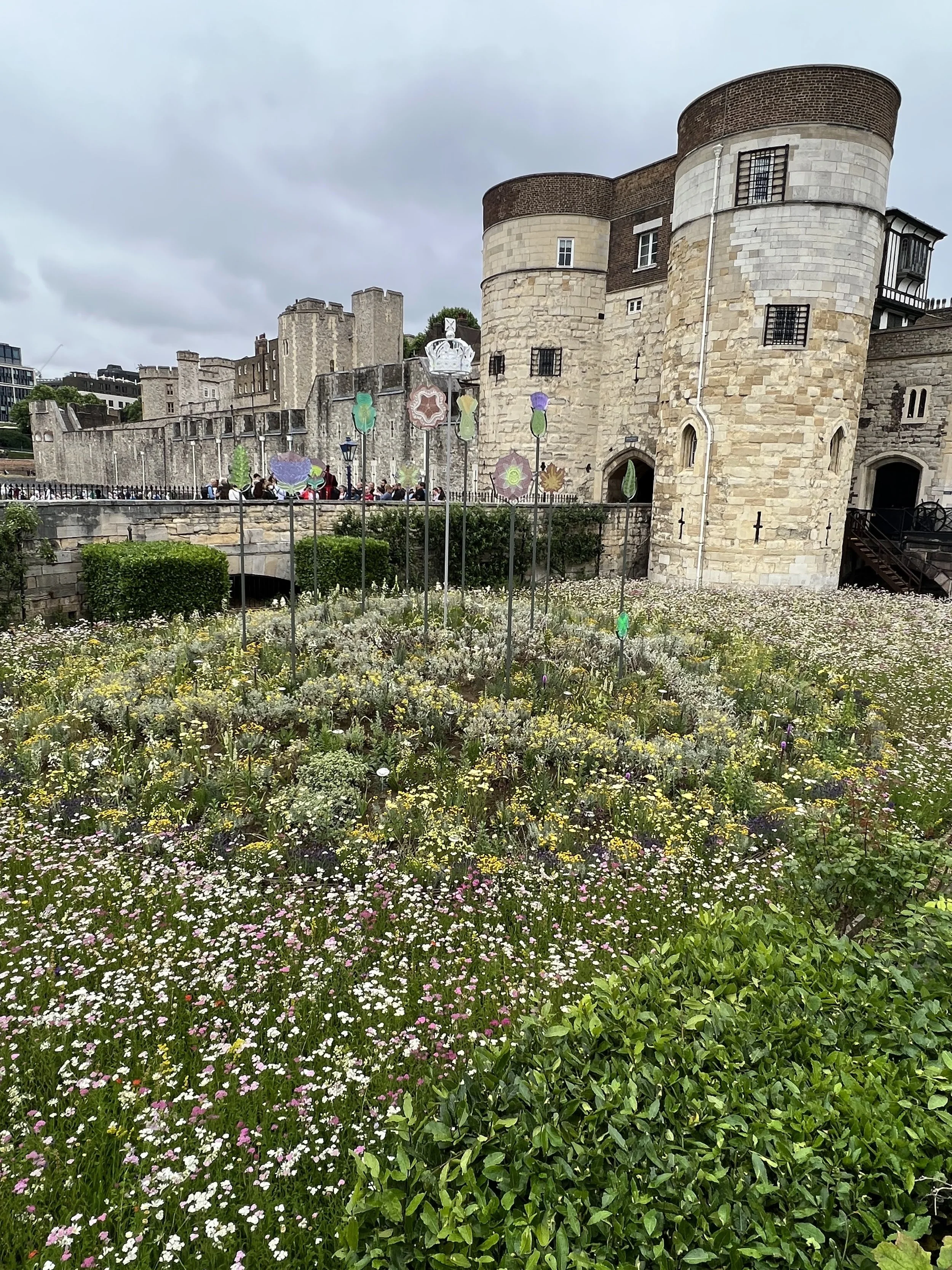 IMG_6136.jpeg