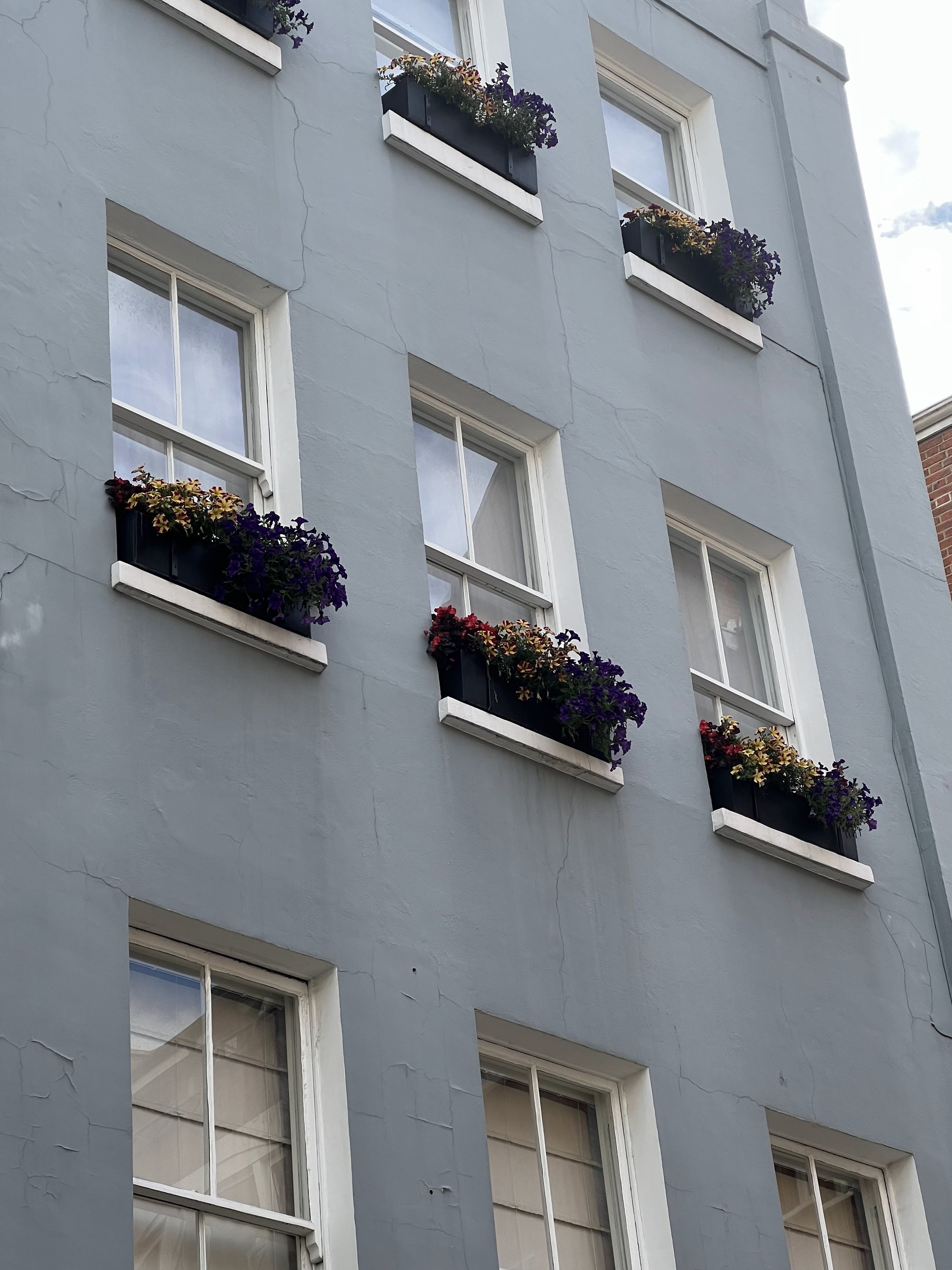 IMG_6425.jpeg