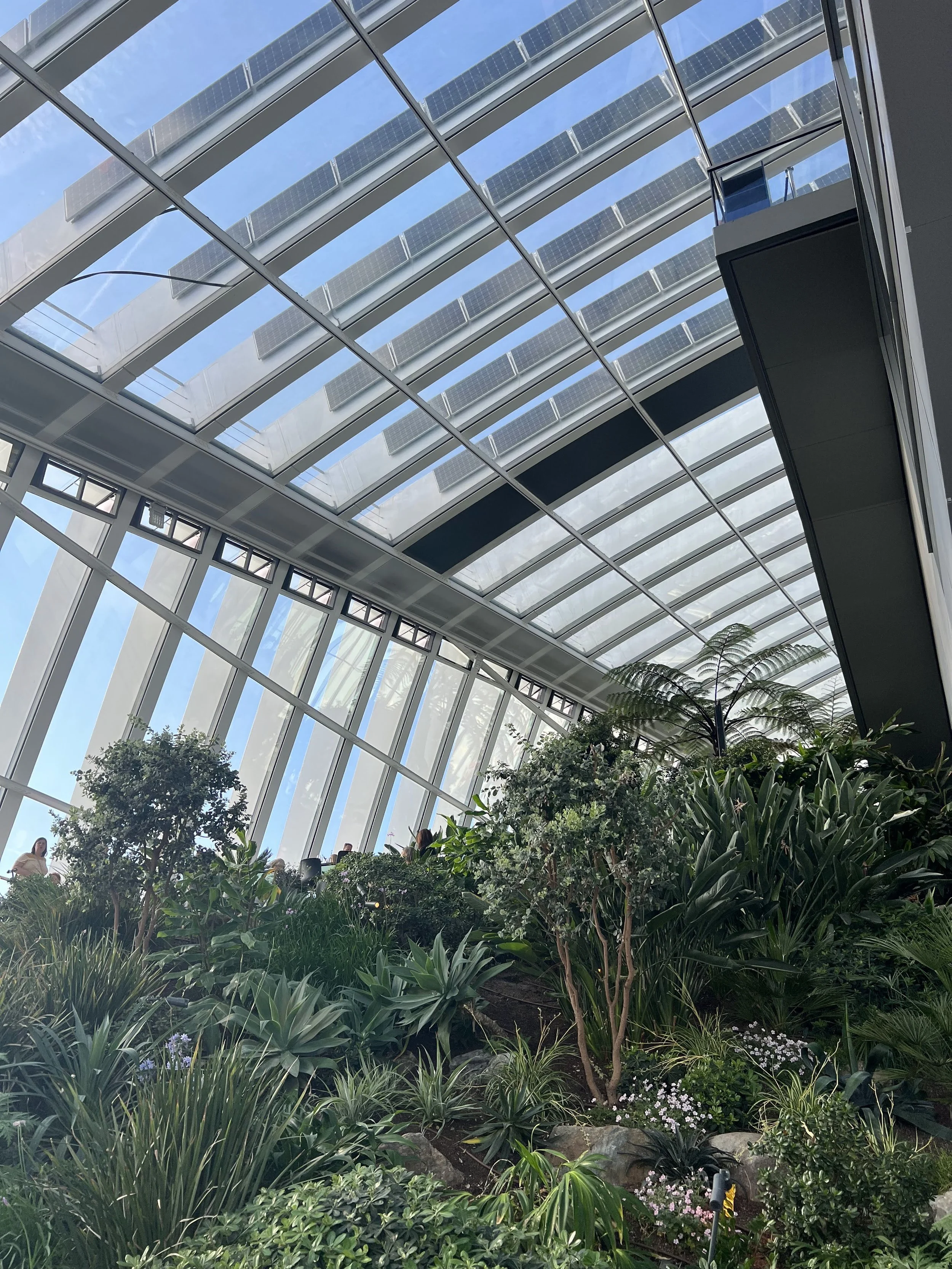 IMG_6800.jpeg