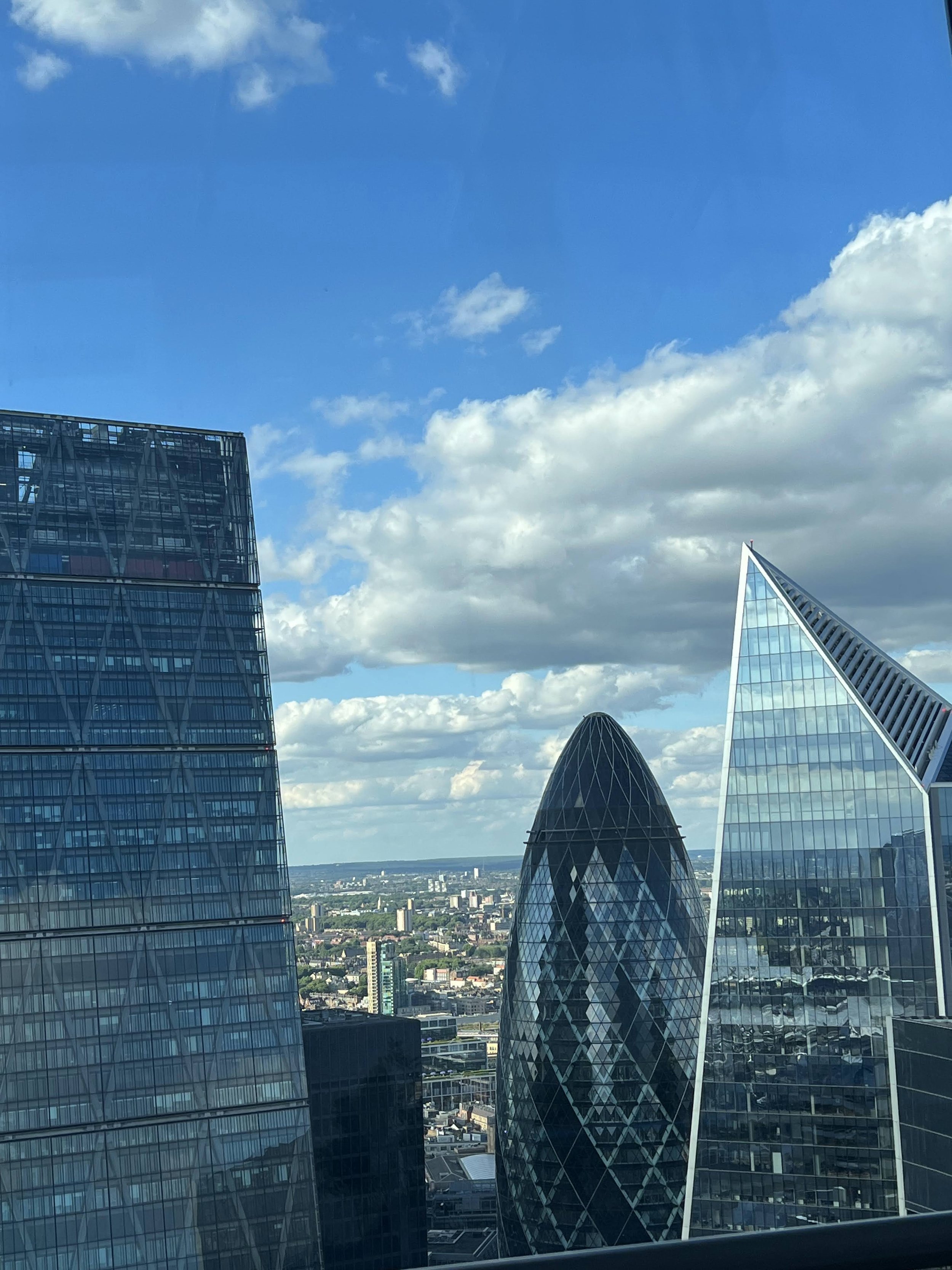 IMG_6795.jpeg