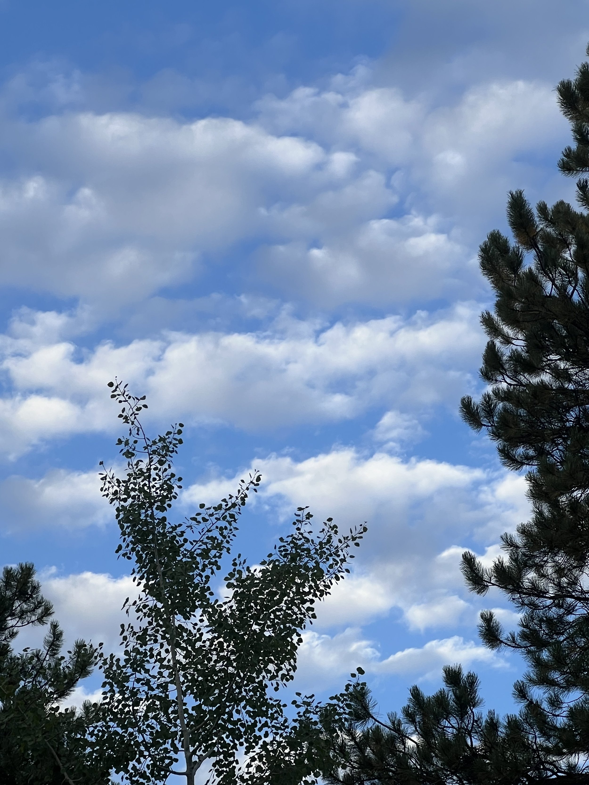 IMG_5356.jpeg