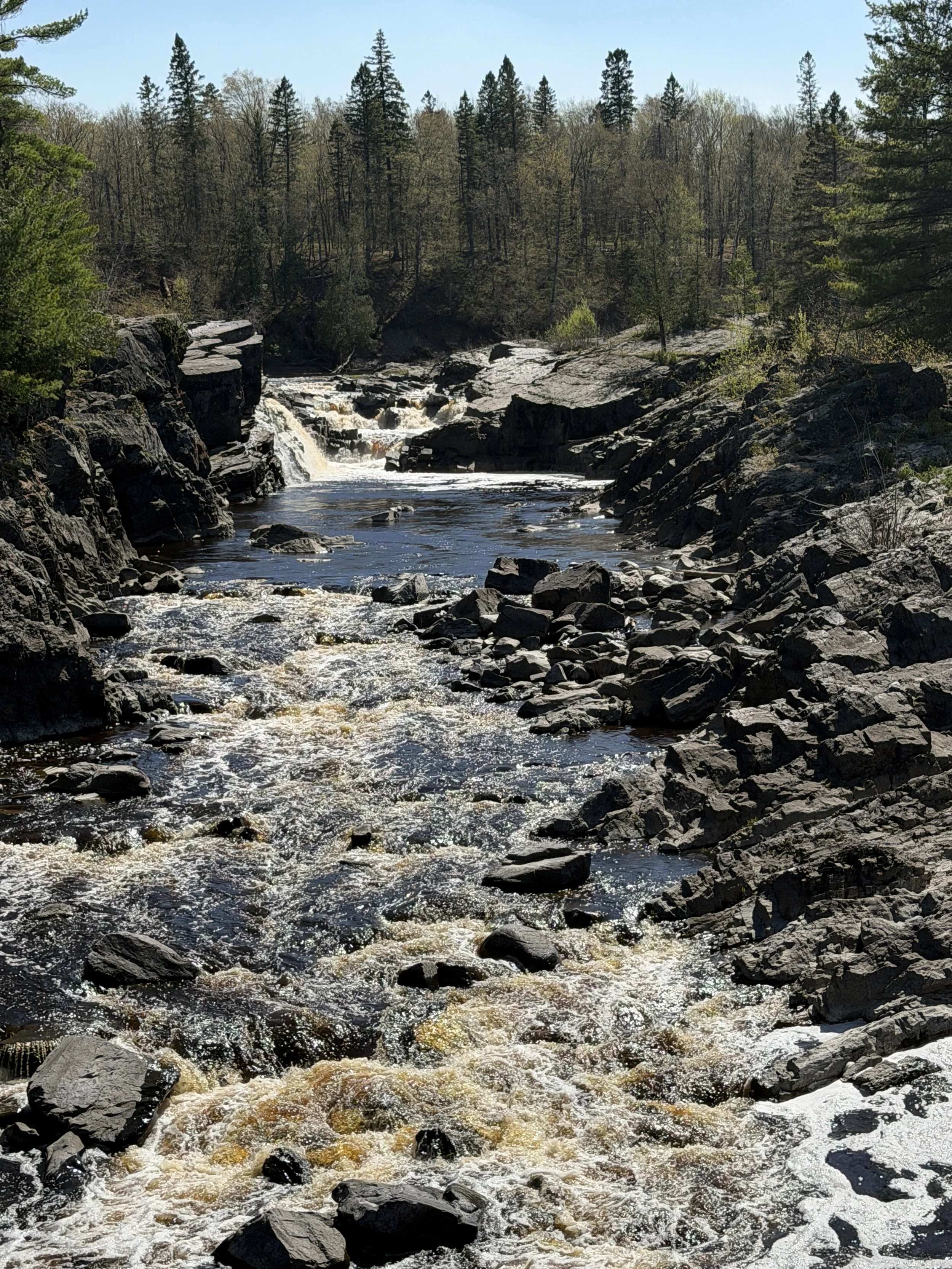 804EC5B6-BE0C-4C97-9456-9A69274F4908.jpeg