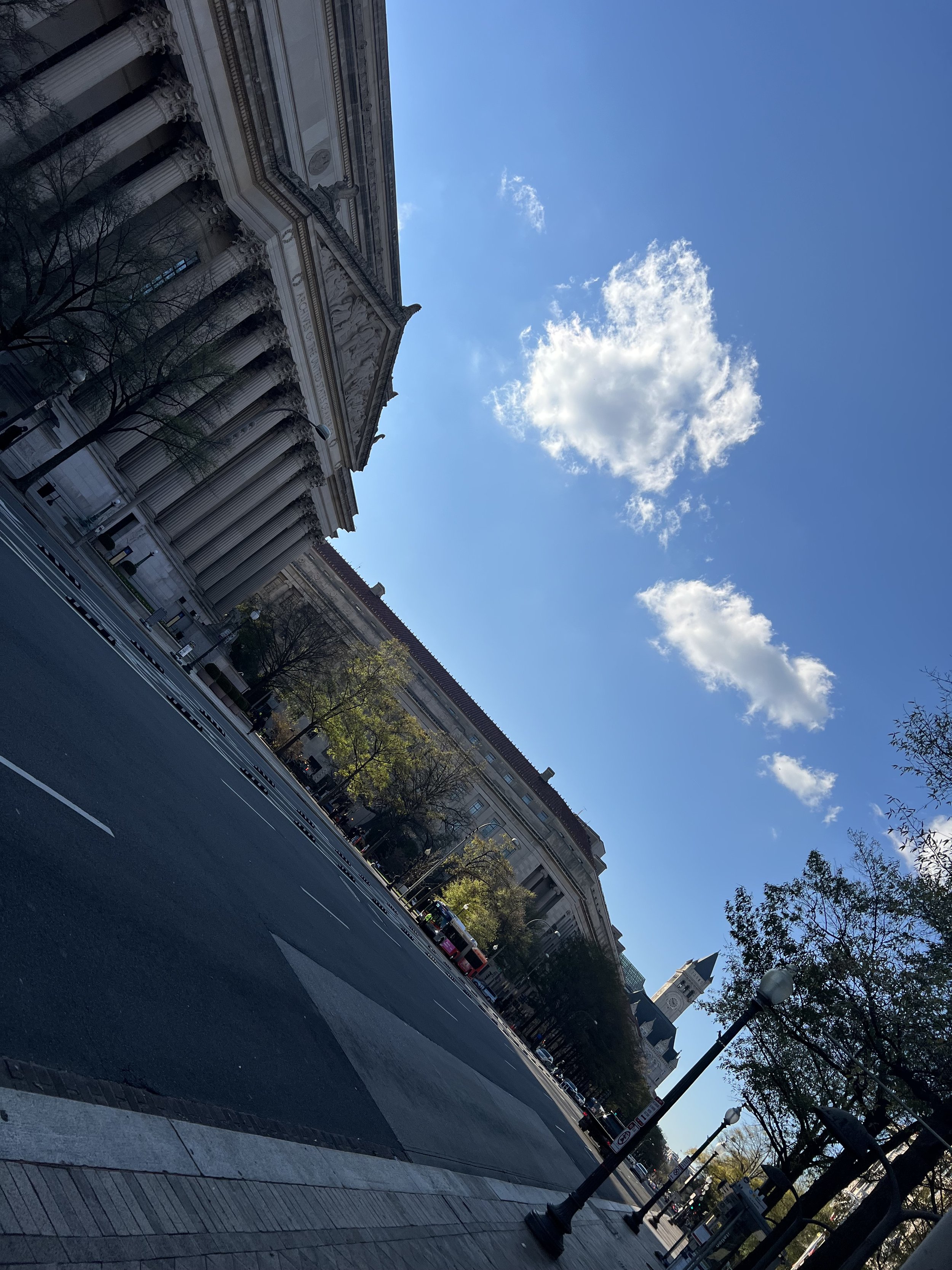IMG_8443.jpeg