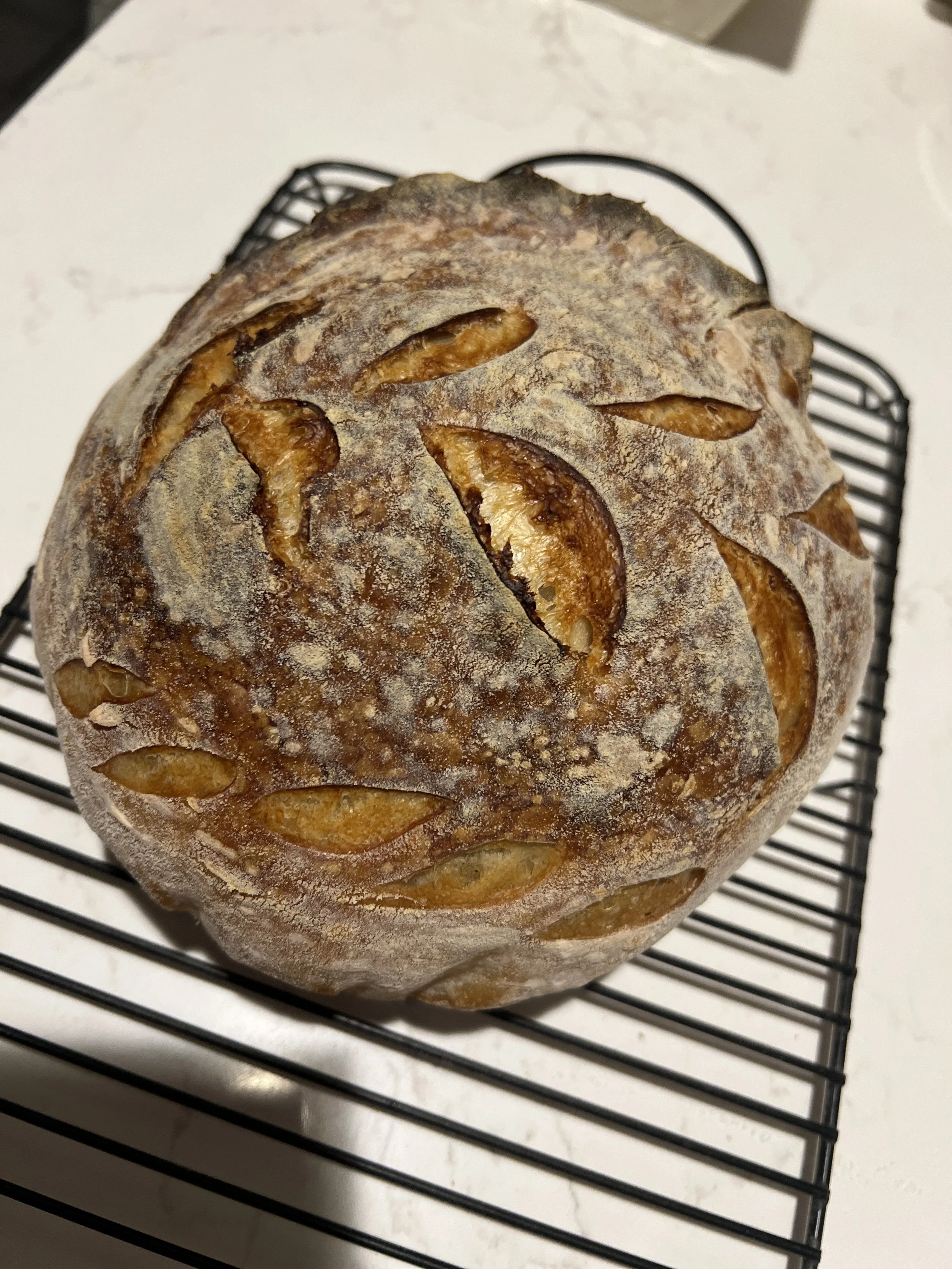 IMG_8630.JPG