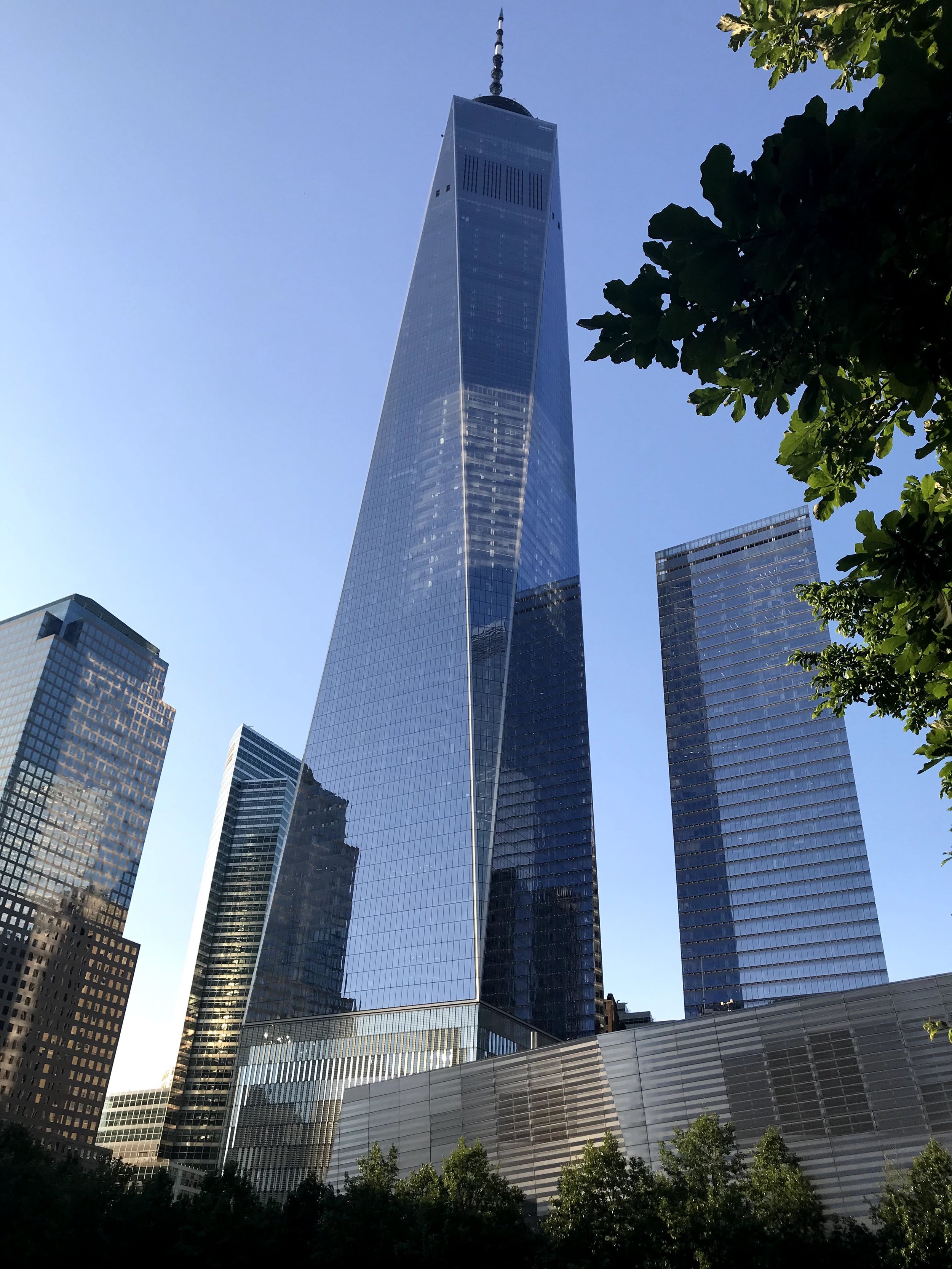 IMG_8526.jpeg